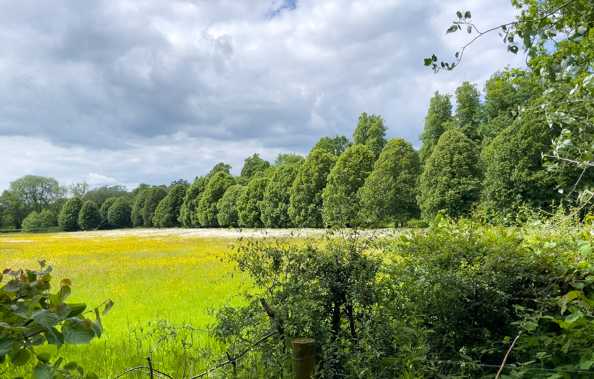 20 mile route - Groombridge Place