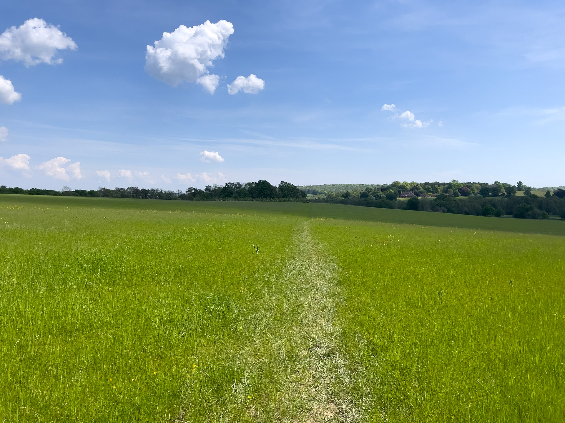 15 mile route from Hartfield