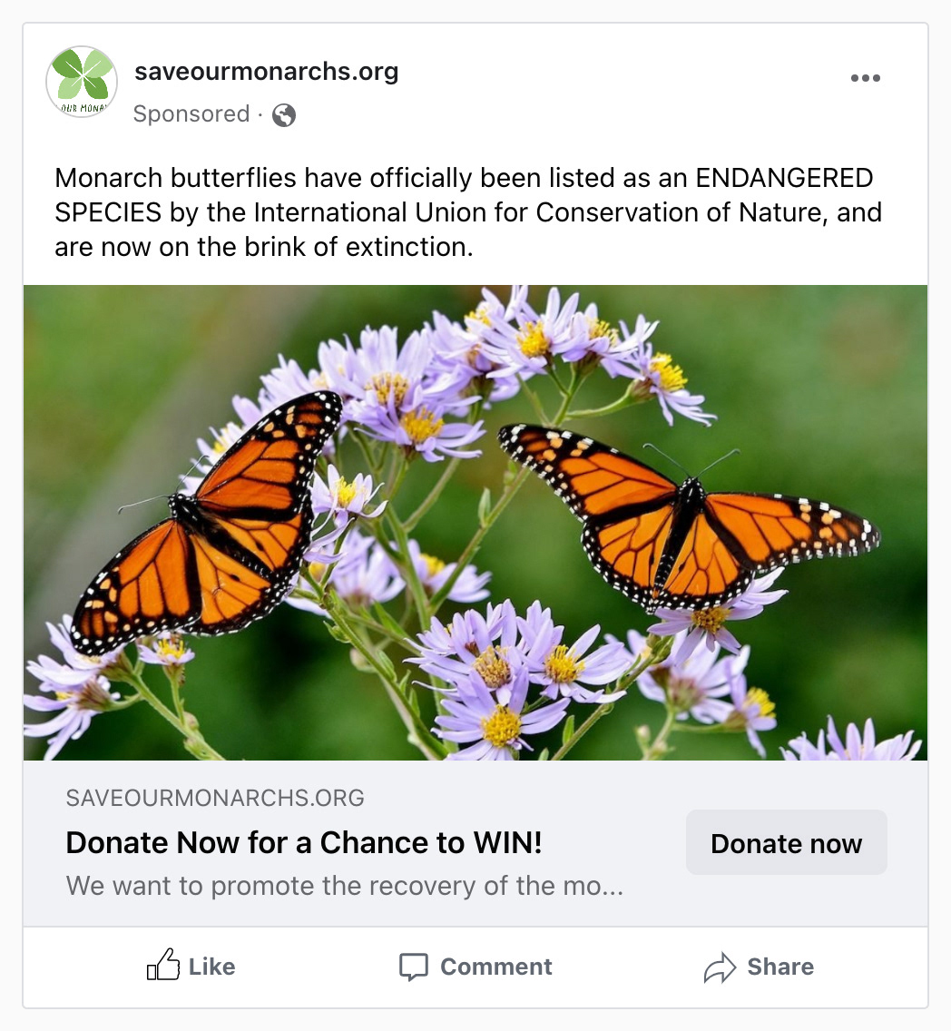 Facebook Advertisement