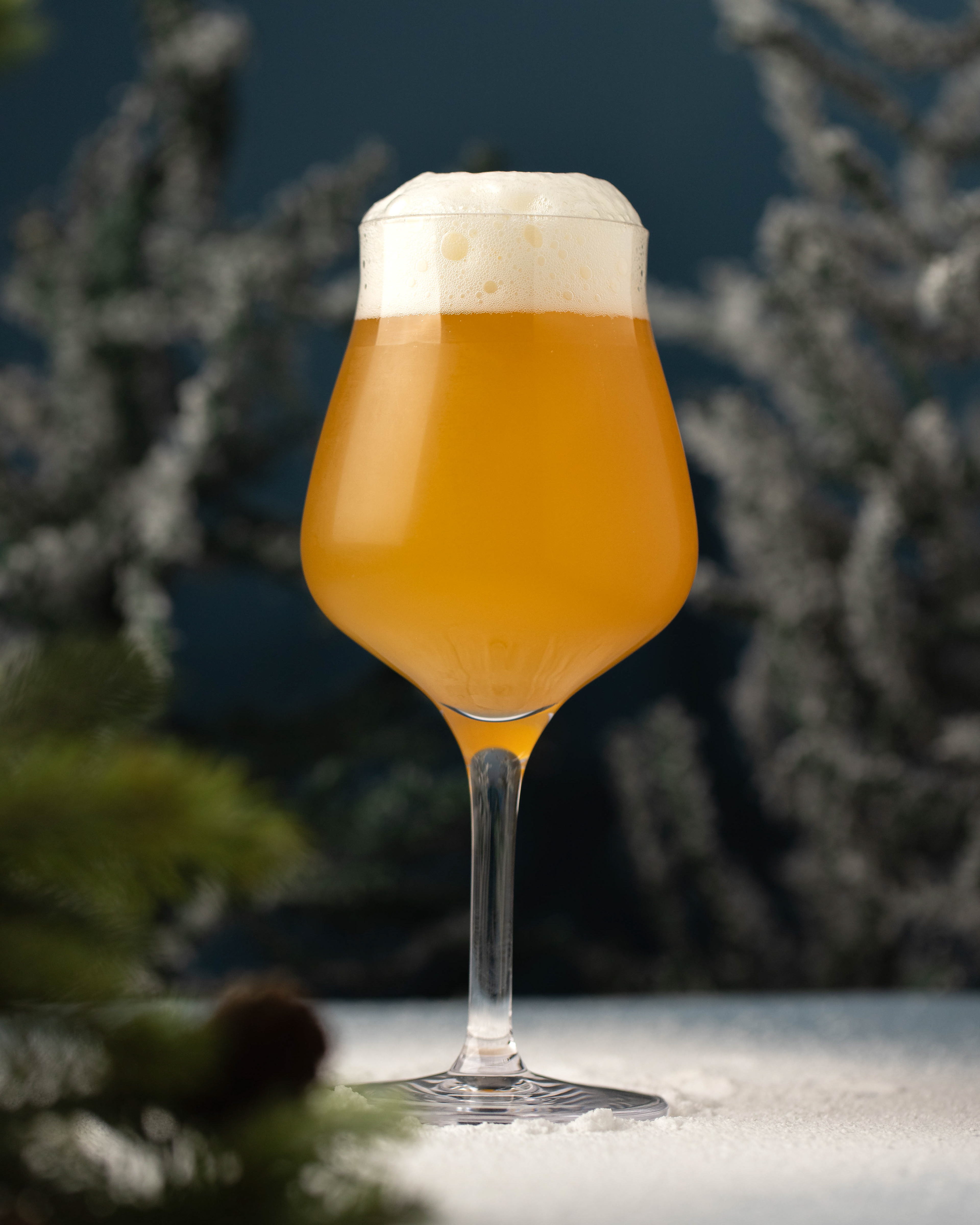 Commonwealth Brewery Overwinteren Pour Shot