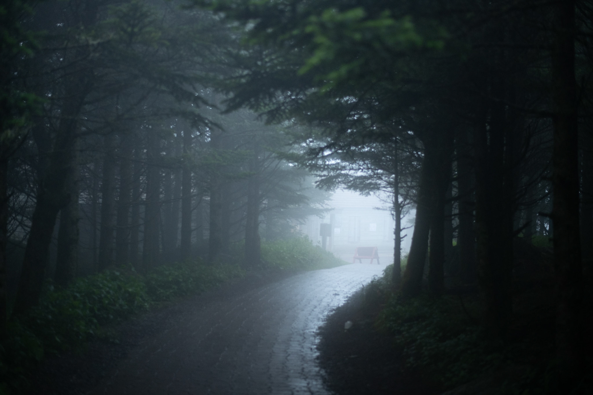 Mount Mitchell State Park