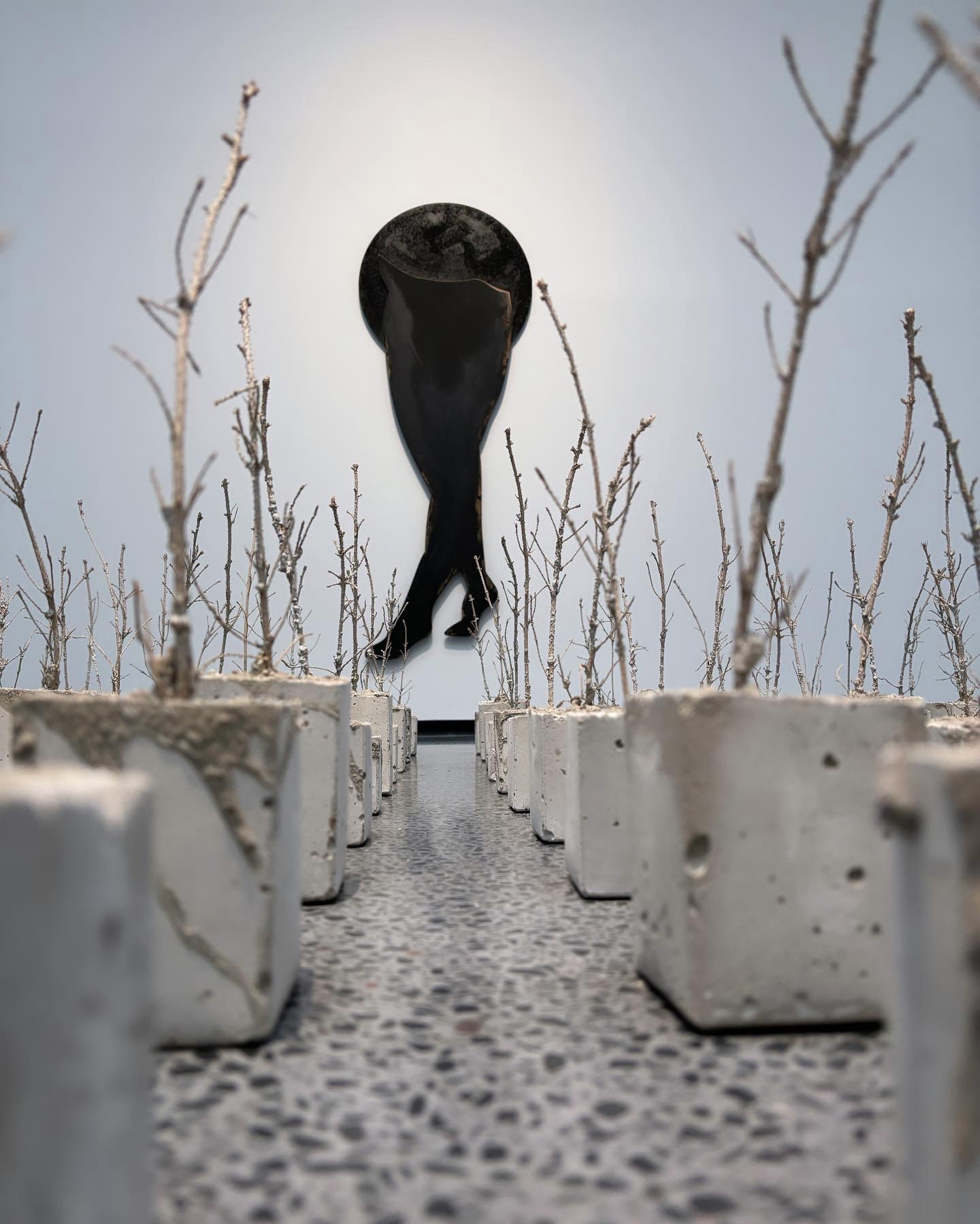 Horisontti, Lapuan taidemuseo 2024