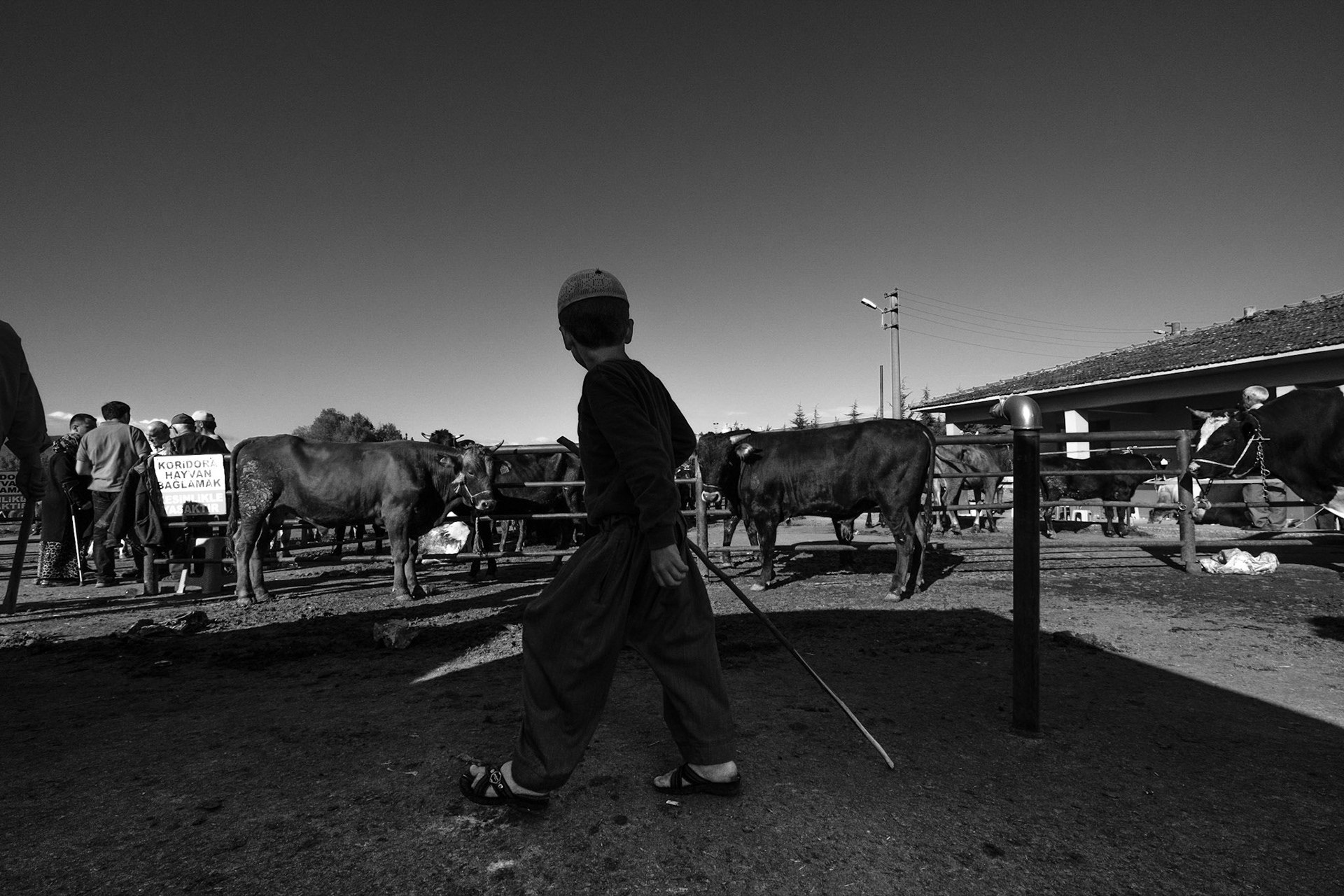 Copyright by Okan YILMAZ