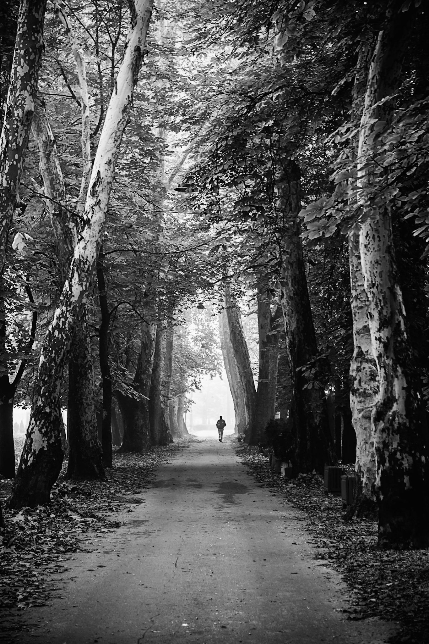 Copyright by Okan YILMAZ