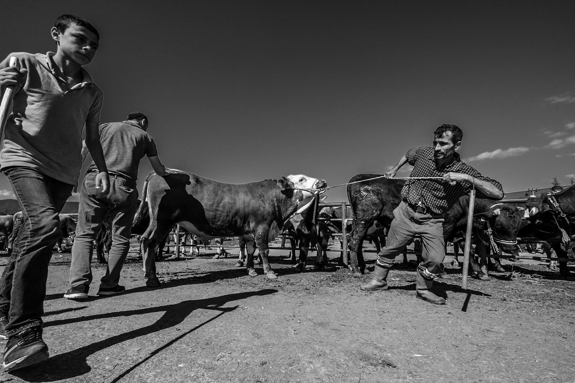 Copyright by Okan YILMAZ