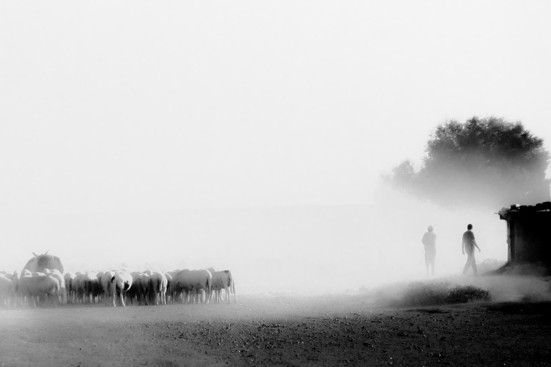 Copyright by Okan YILMAZ