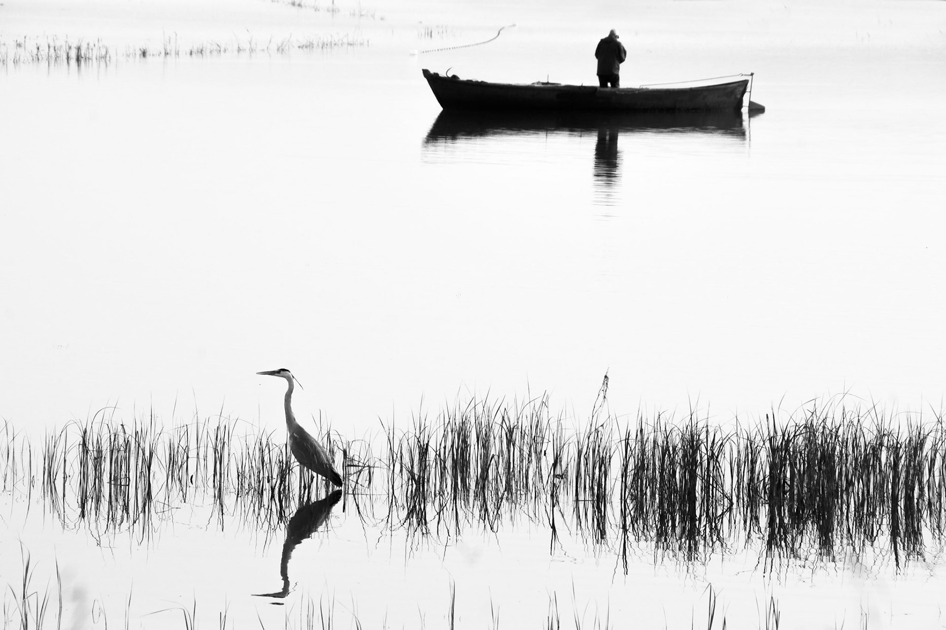 Copyright by Okan YILMAZ