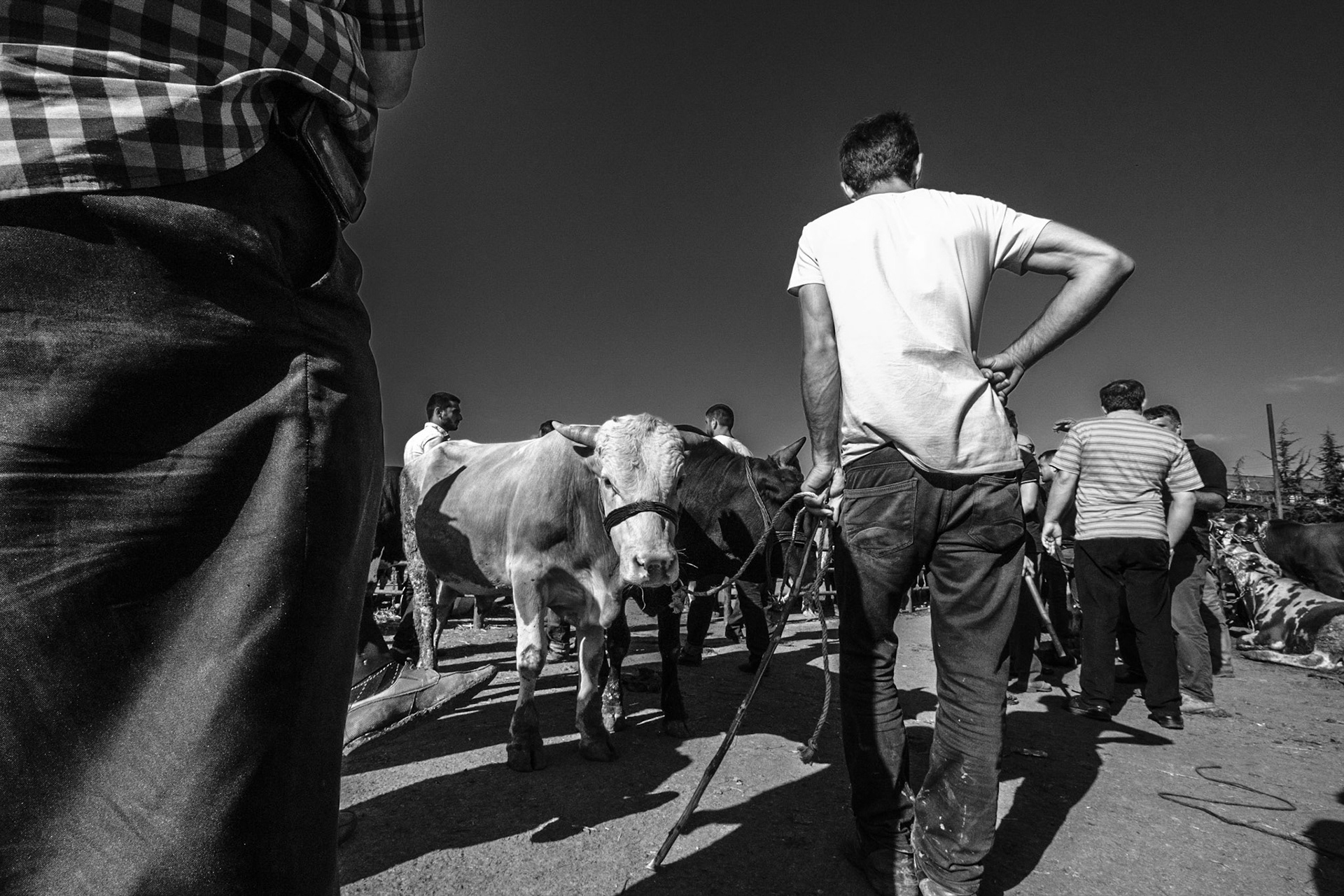 Copyright by Okan YILMAZ