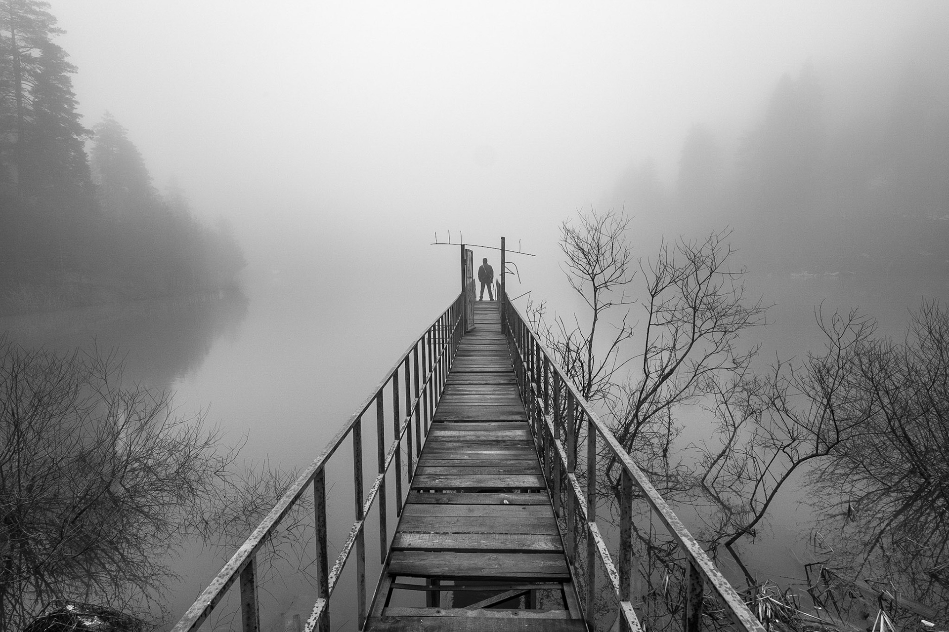 Copyright by Okan YILMAZ