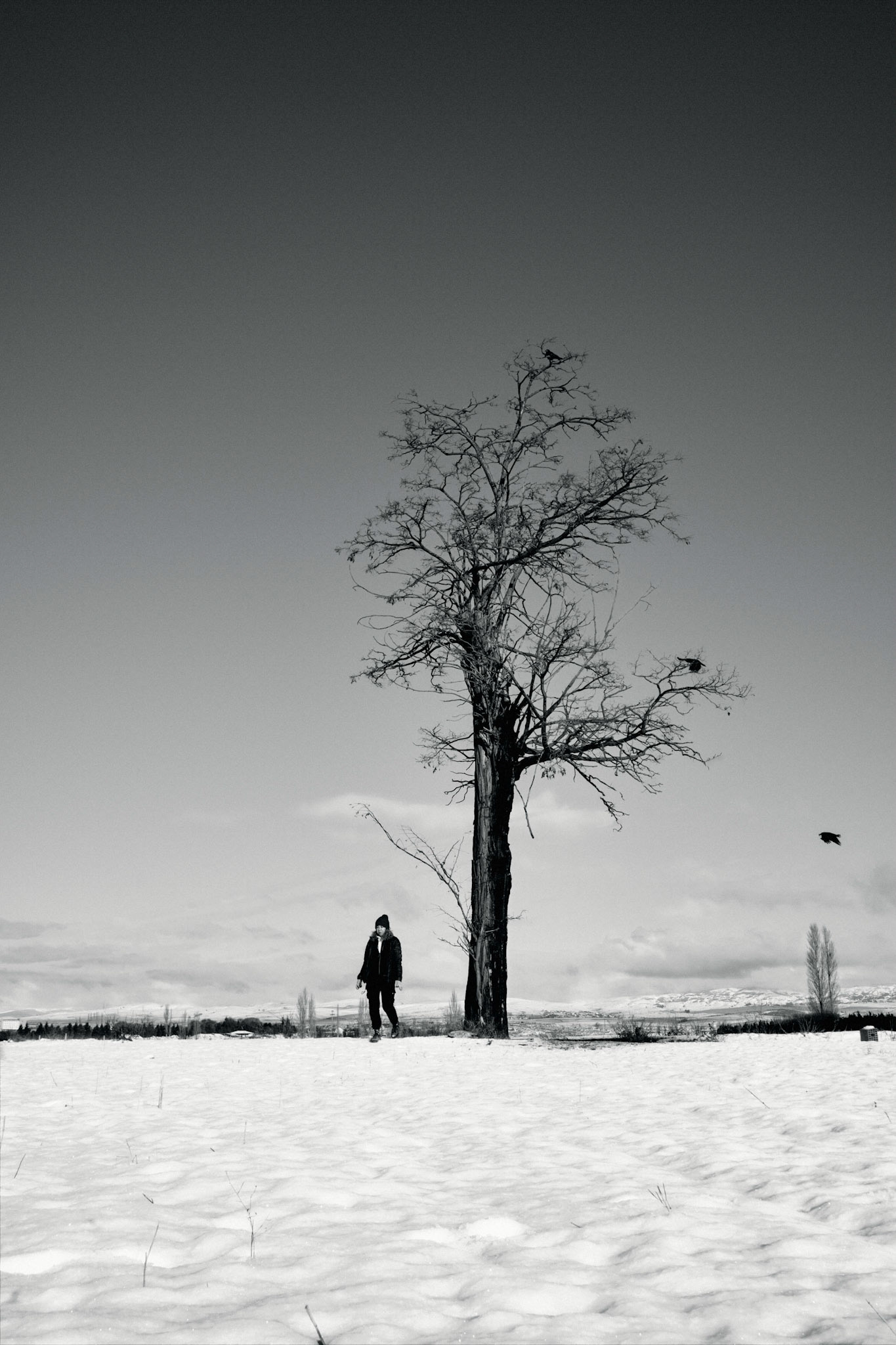 Copyright by Okan YILMAZ