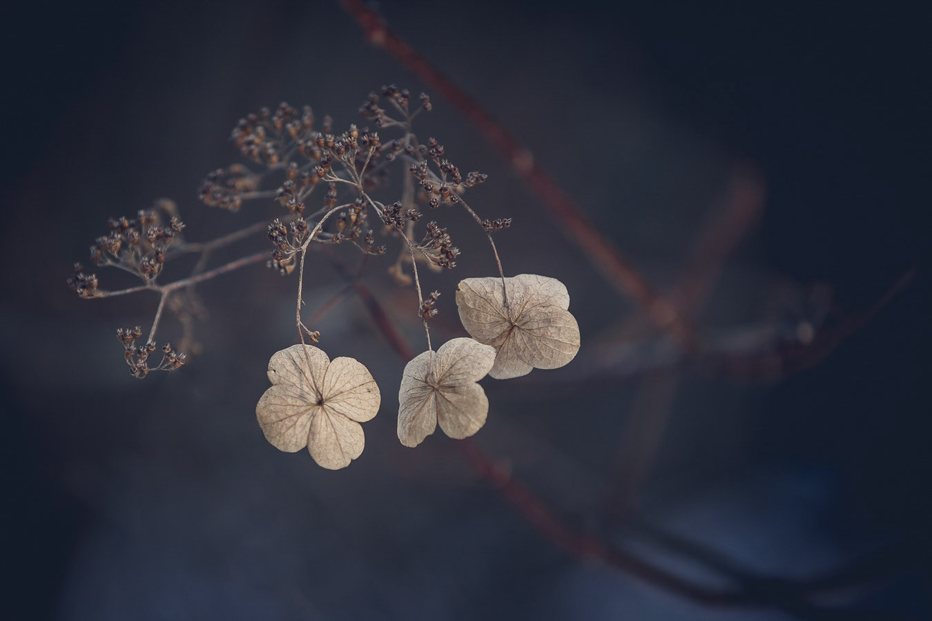 Memories from last summer