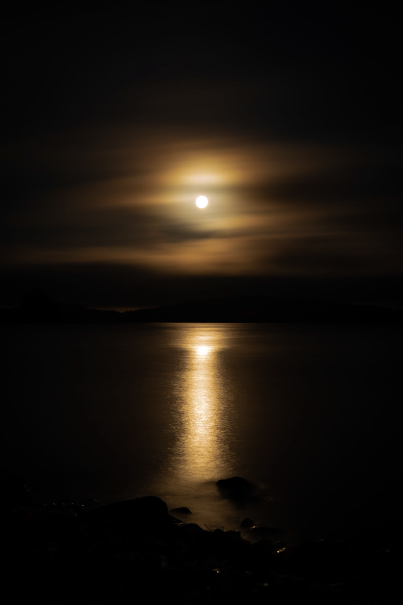 moonlight