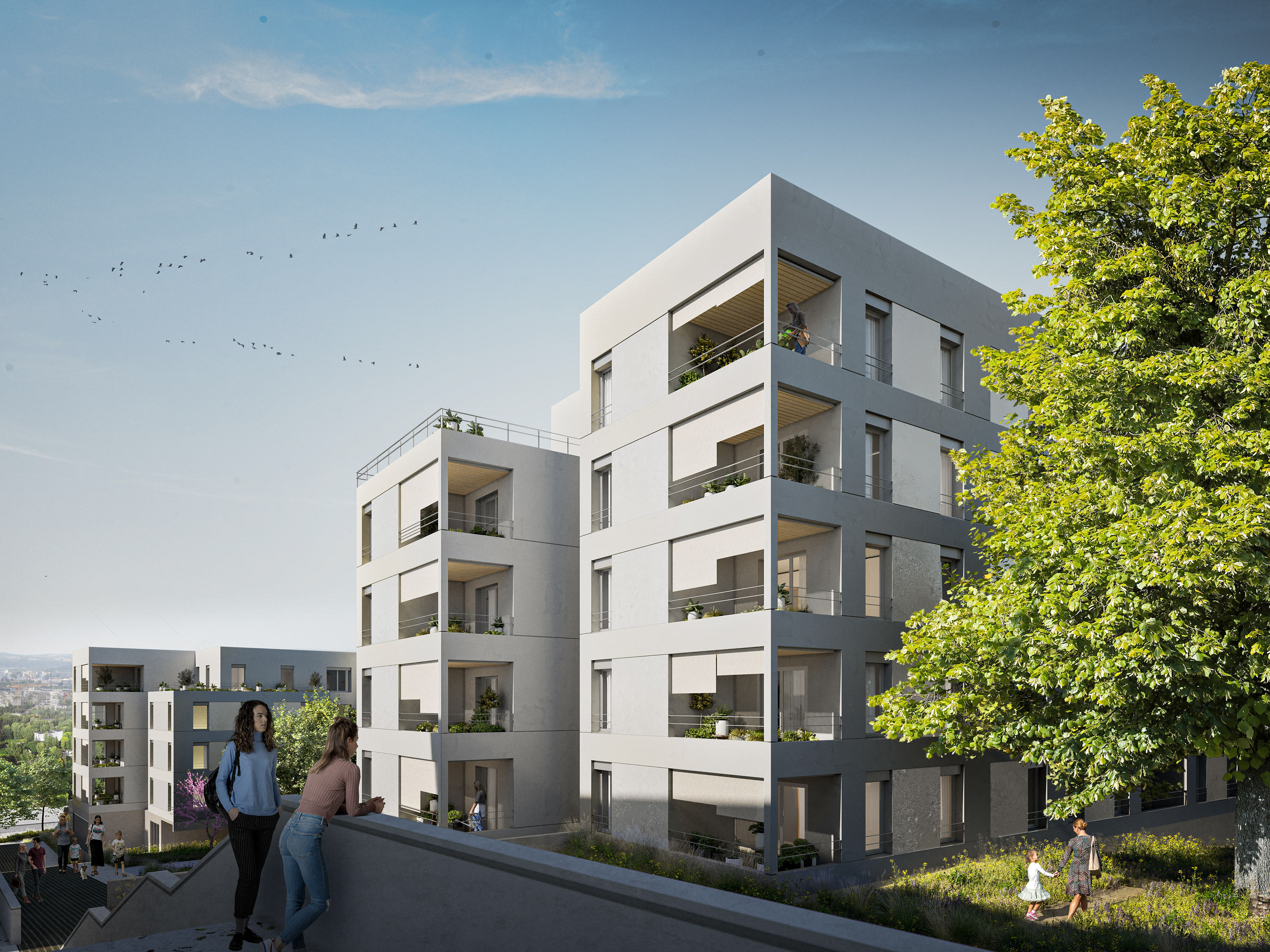 Logements • Dumétier Design