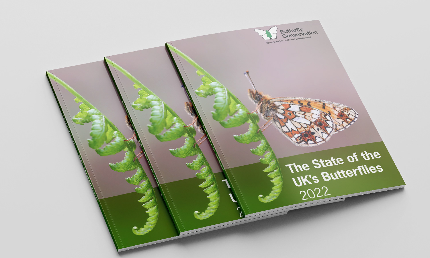The State of the Uk's Butterfly report, released in 2022, that I helped to successfully launch.