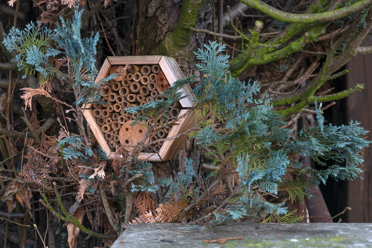 Insekten-Hotel