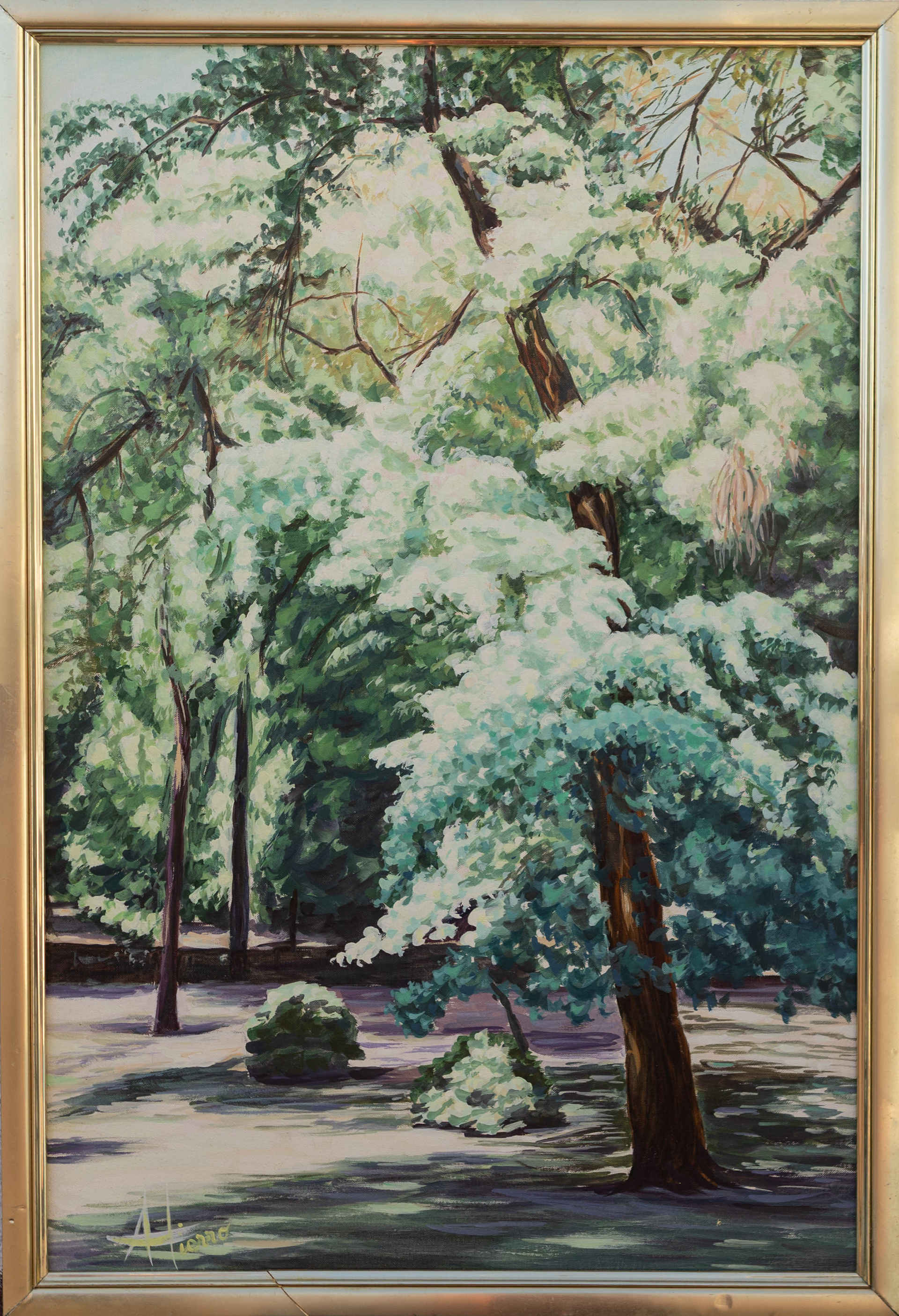 81 x 54