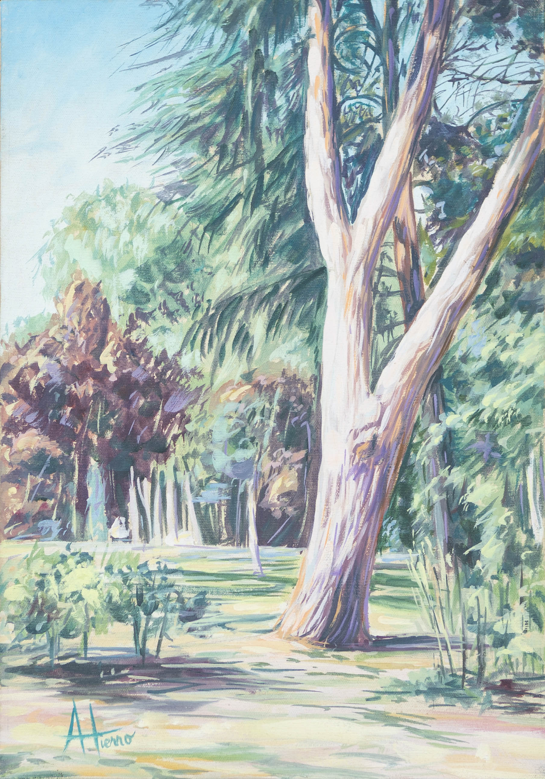 55 x 38