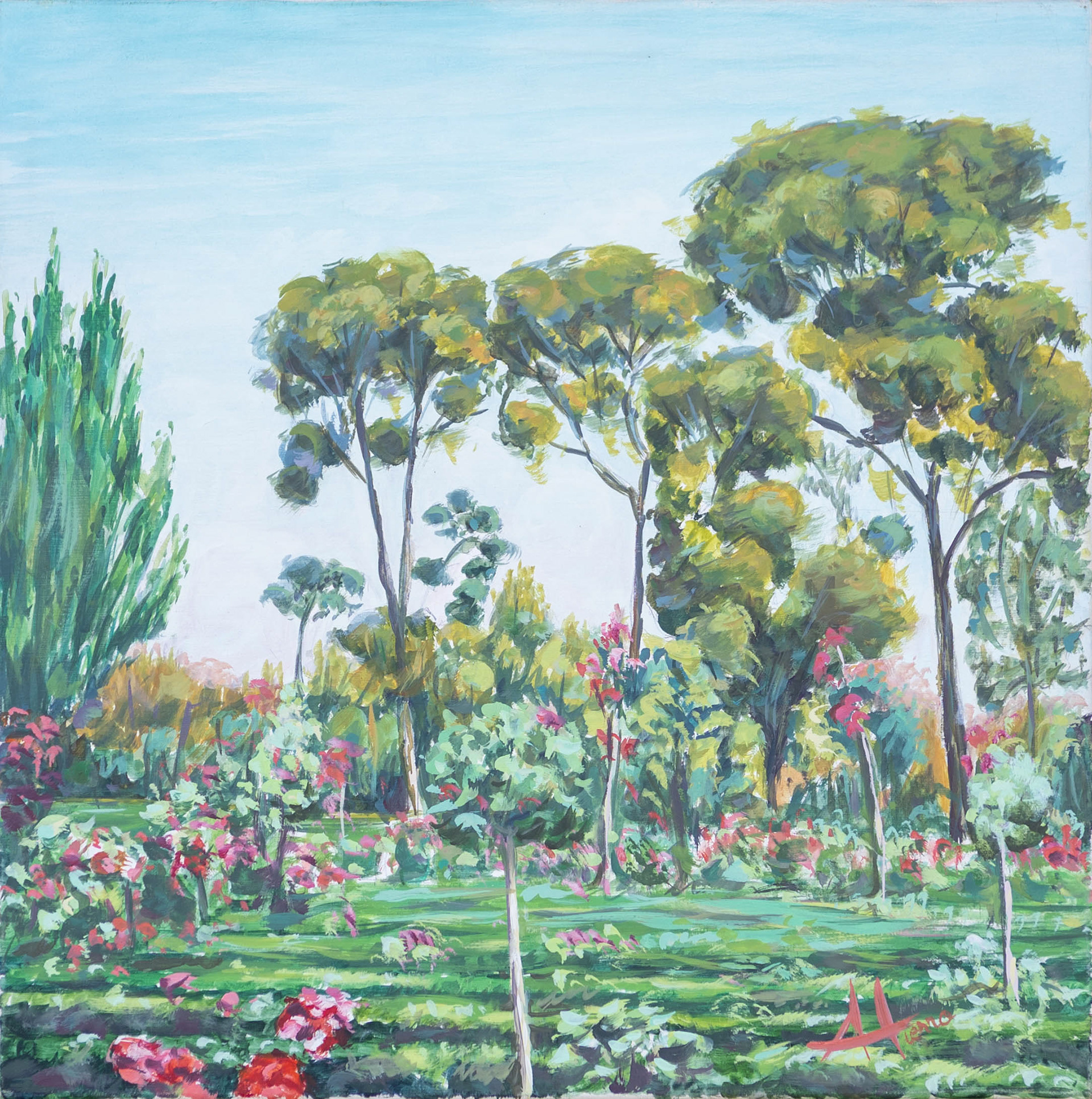 50 x 50