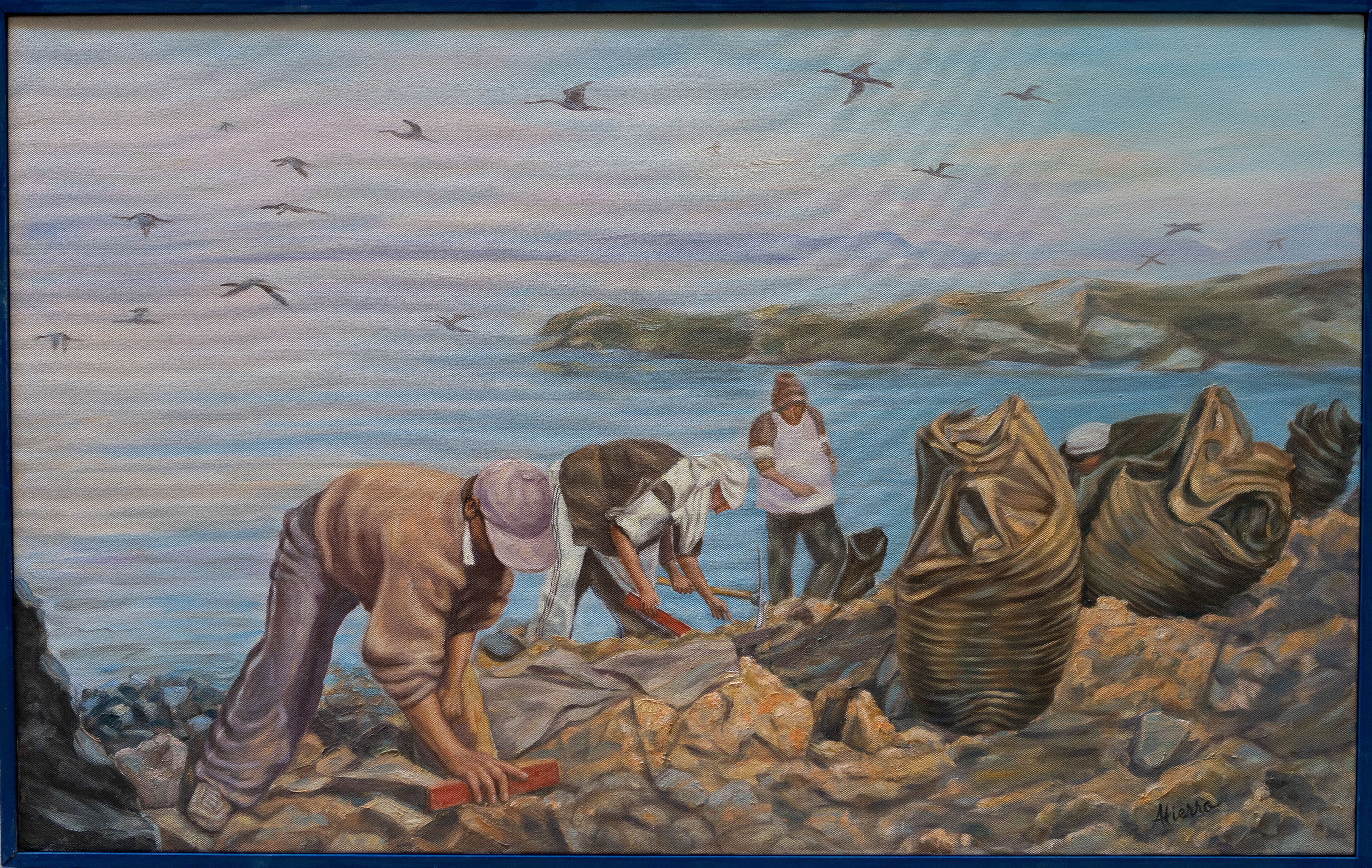 1,30 x 81, La recogida del guano