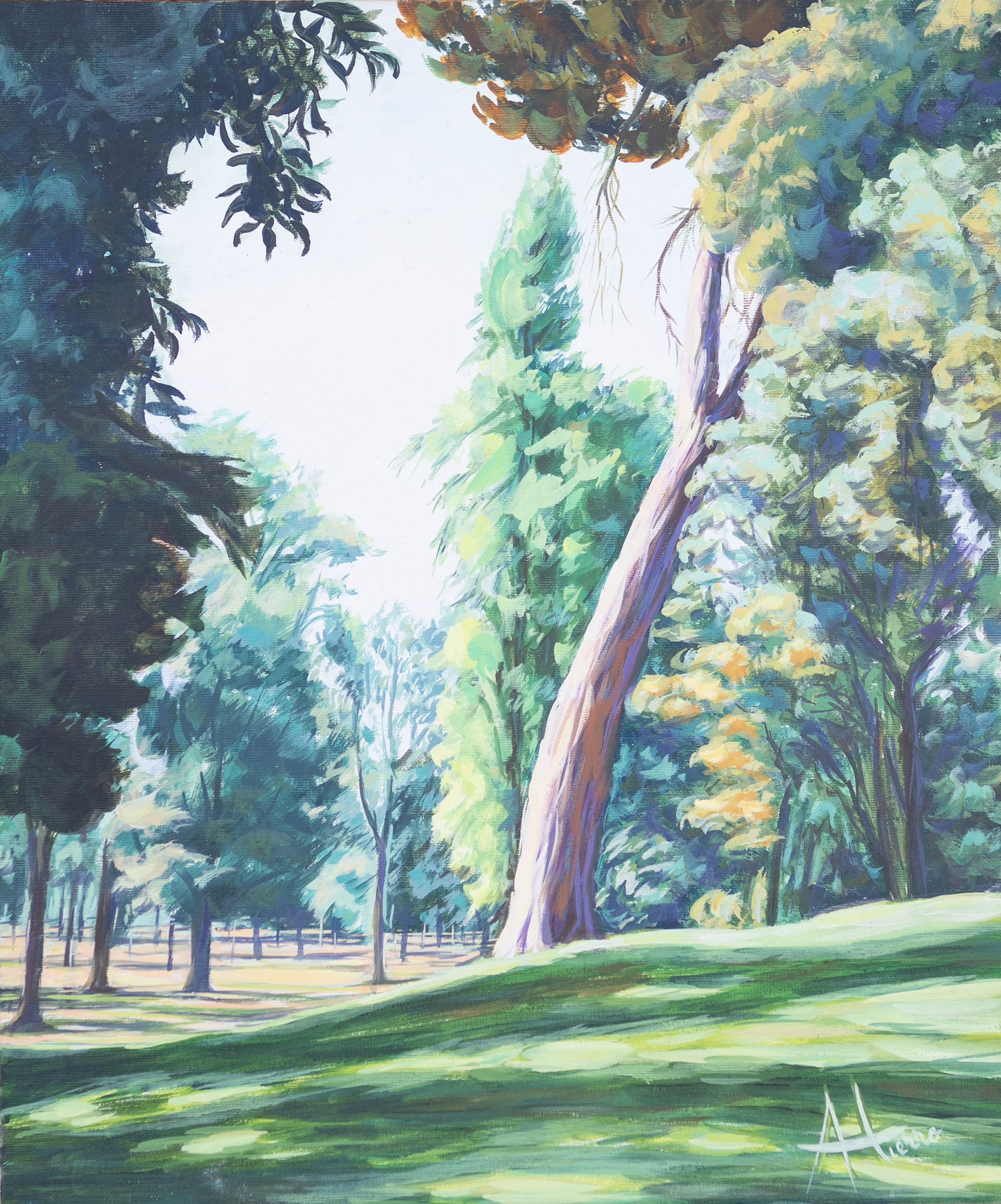 55 x 46
