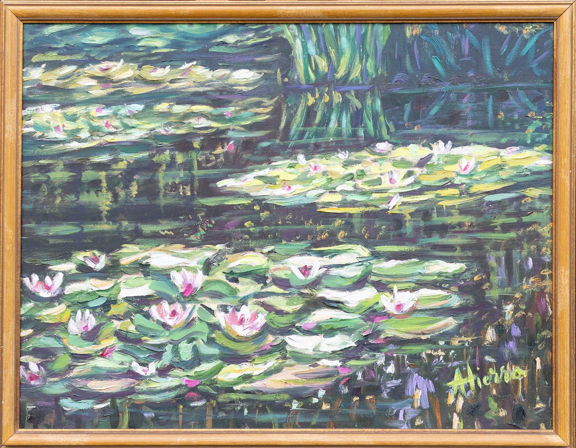 65 x 50
