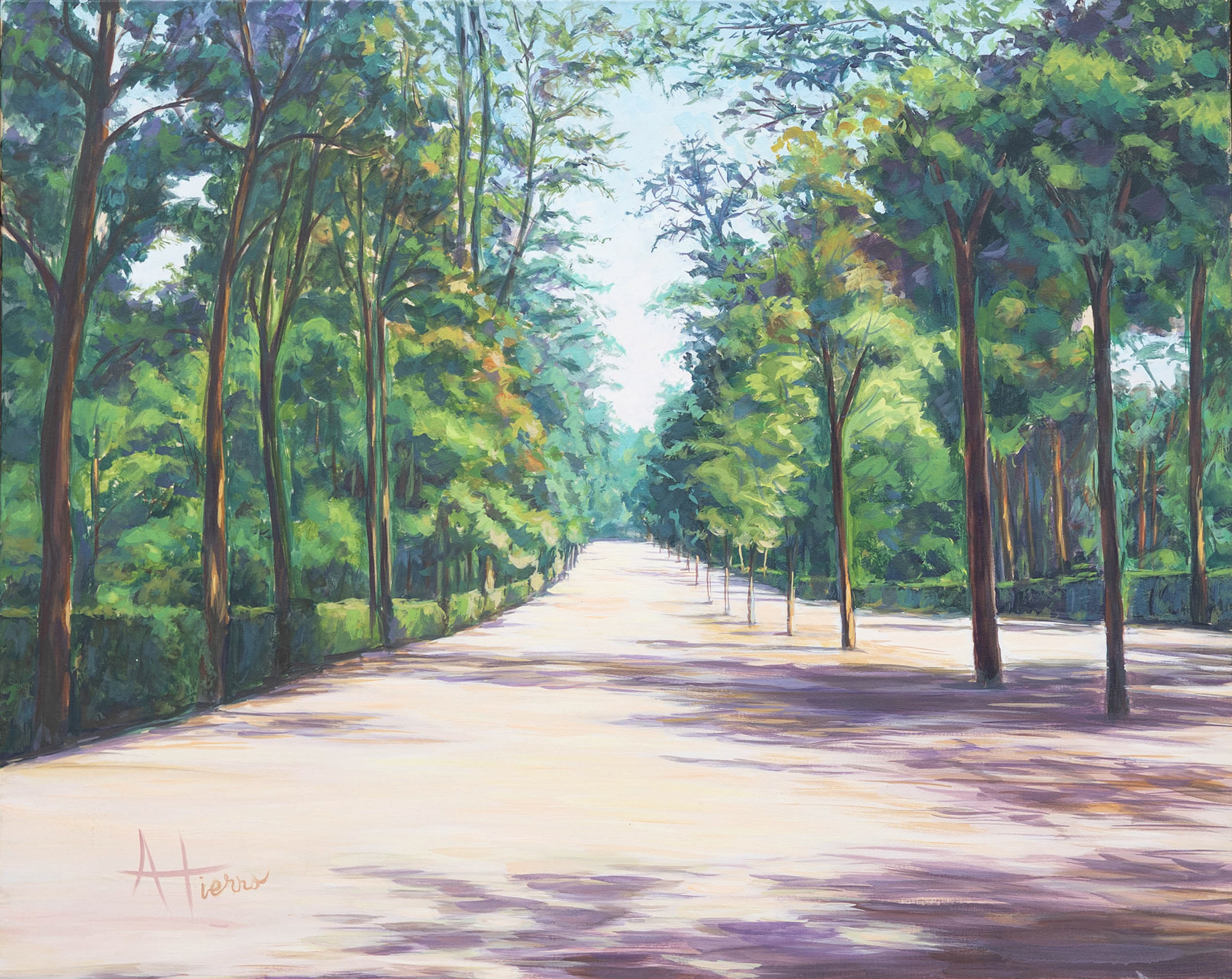 81 x 65