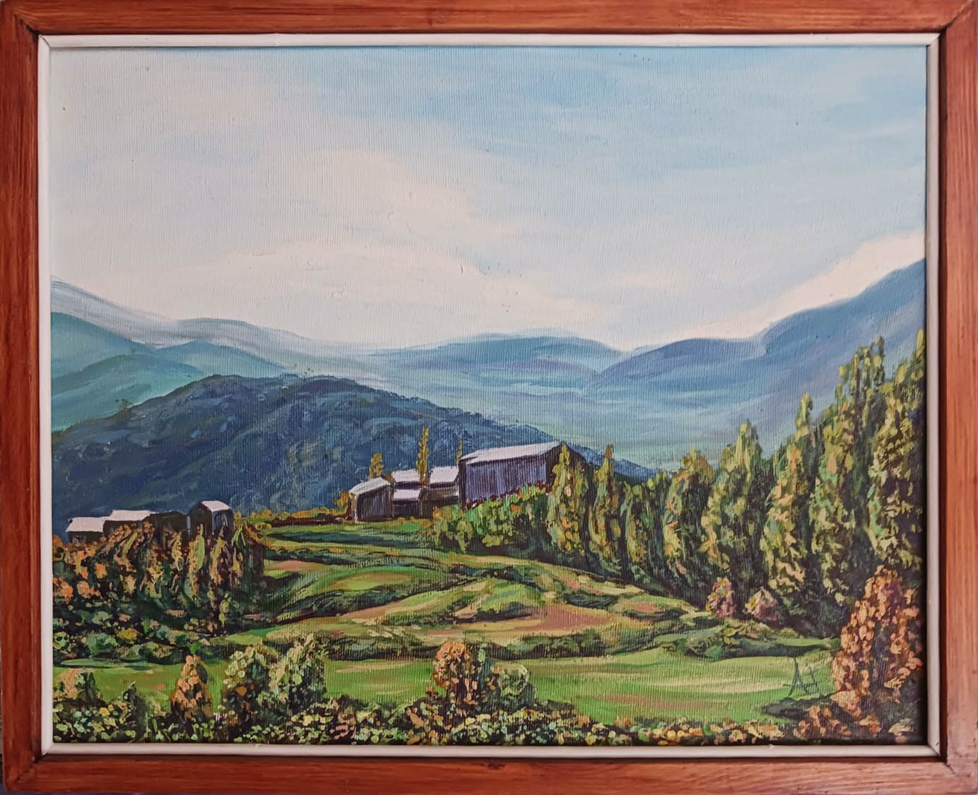 41 x 33
