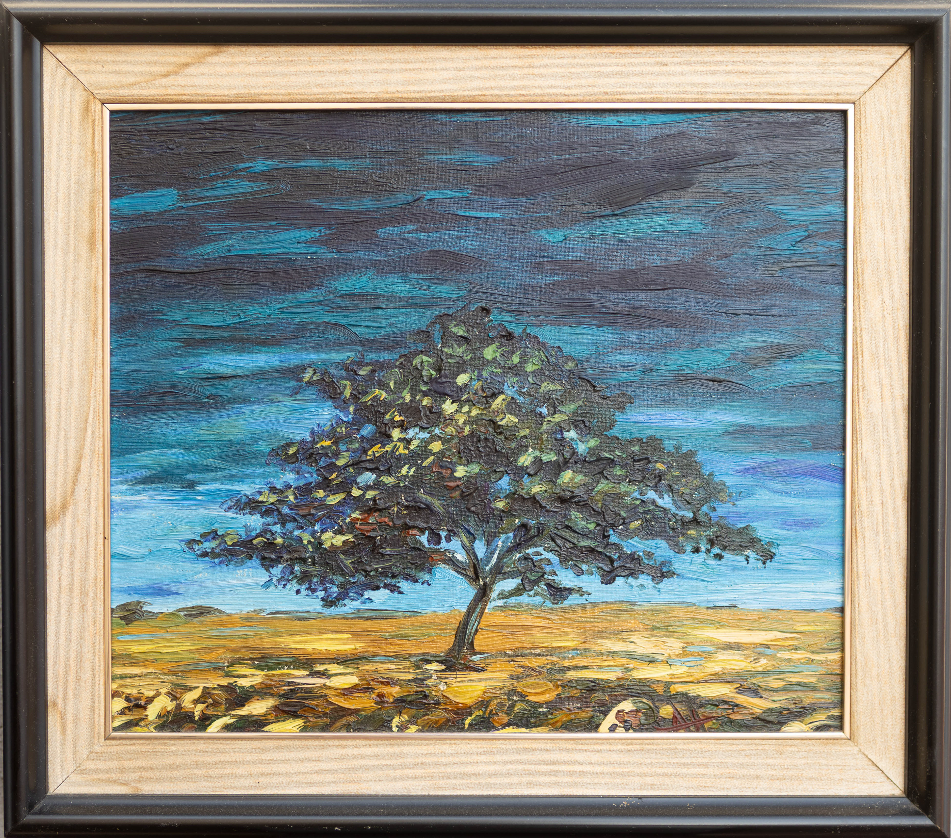 41 x 36