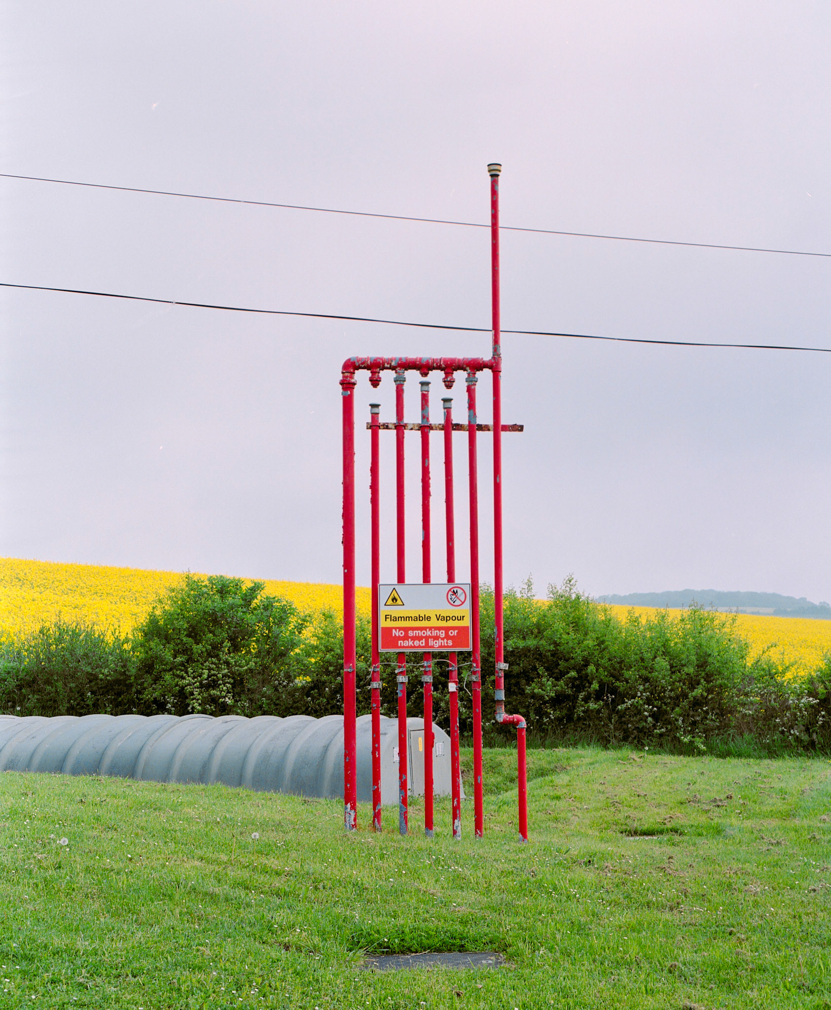 Rapeseed. Film
