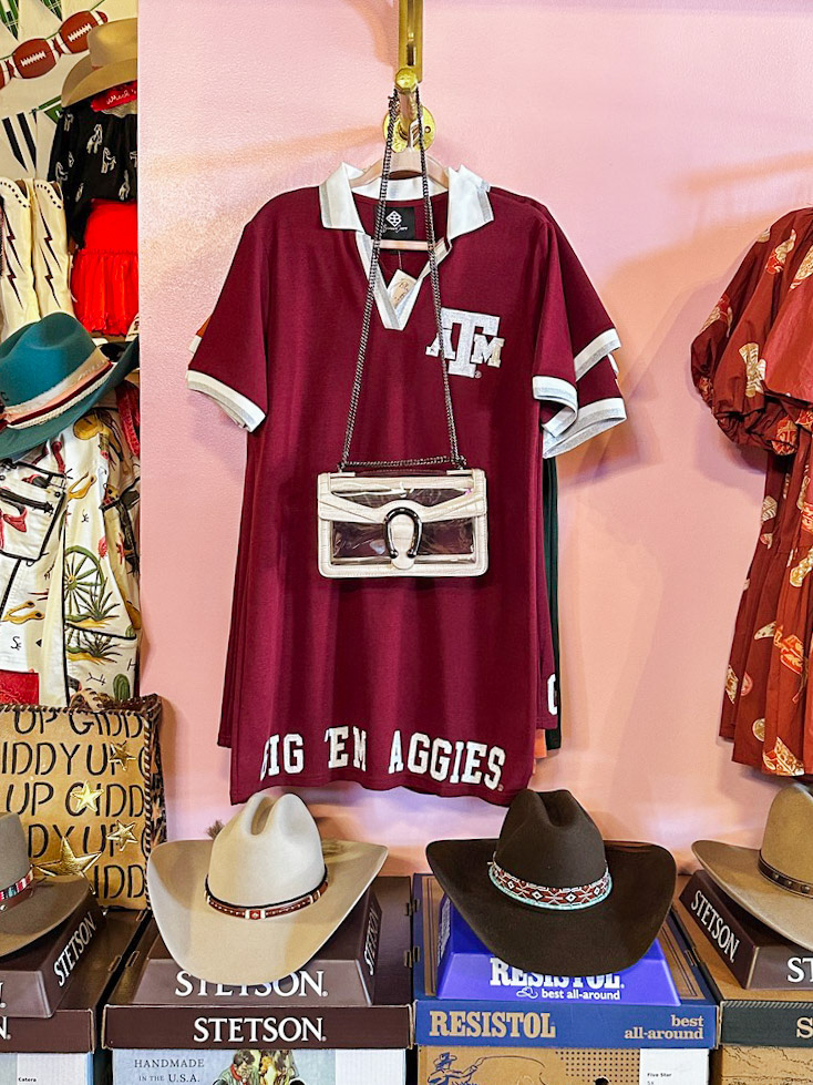 You Know You are in Texas iPhone