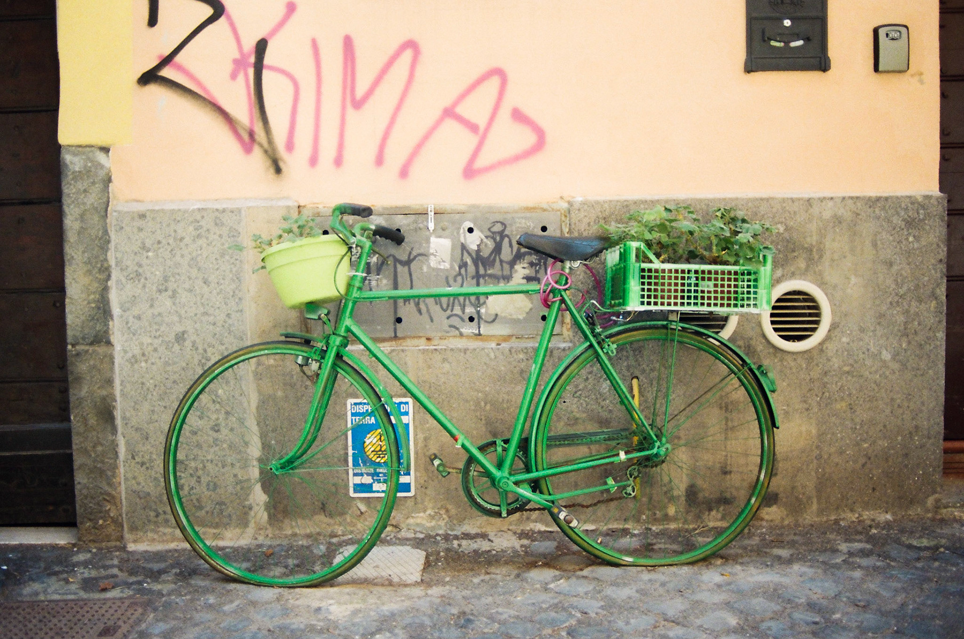 Green Bicycle