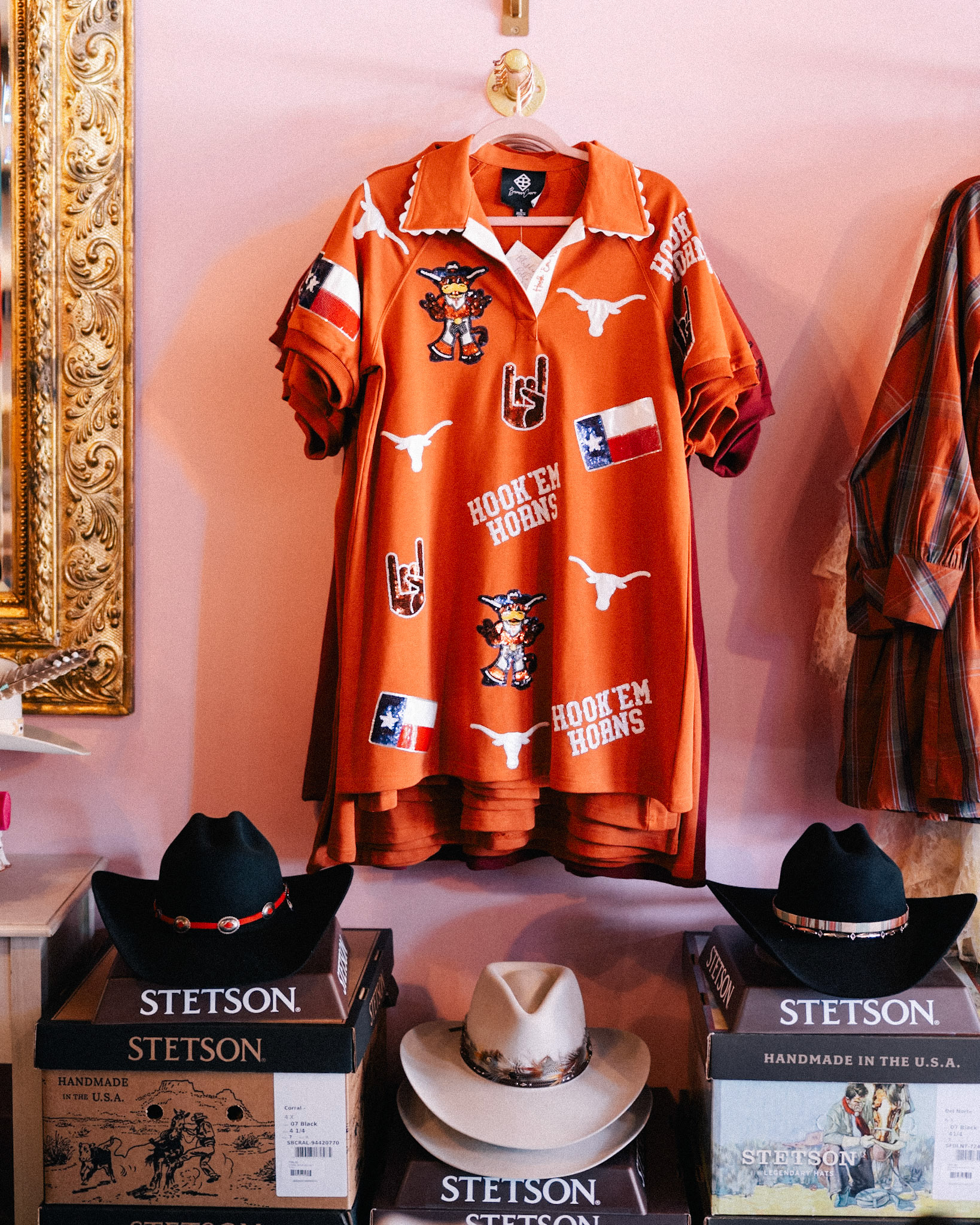 You Know You are in Texas iPhone