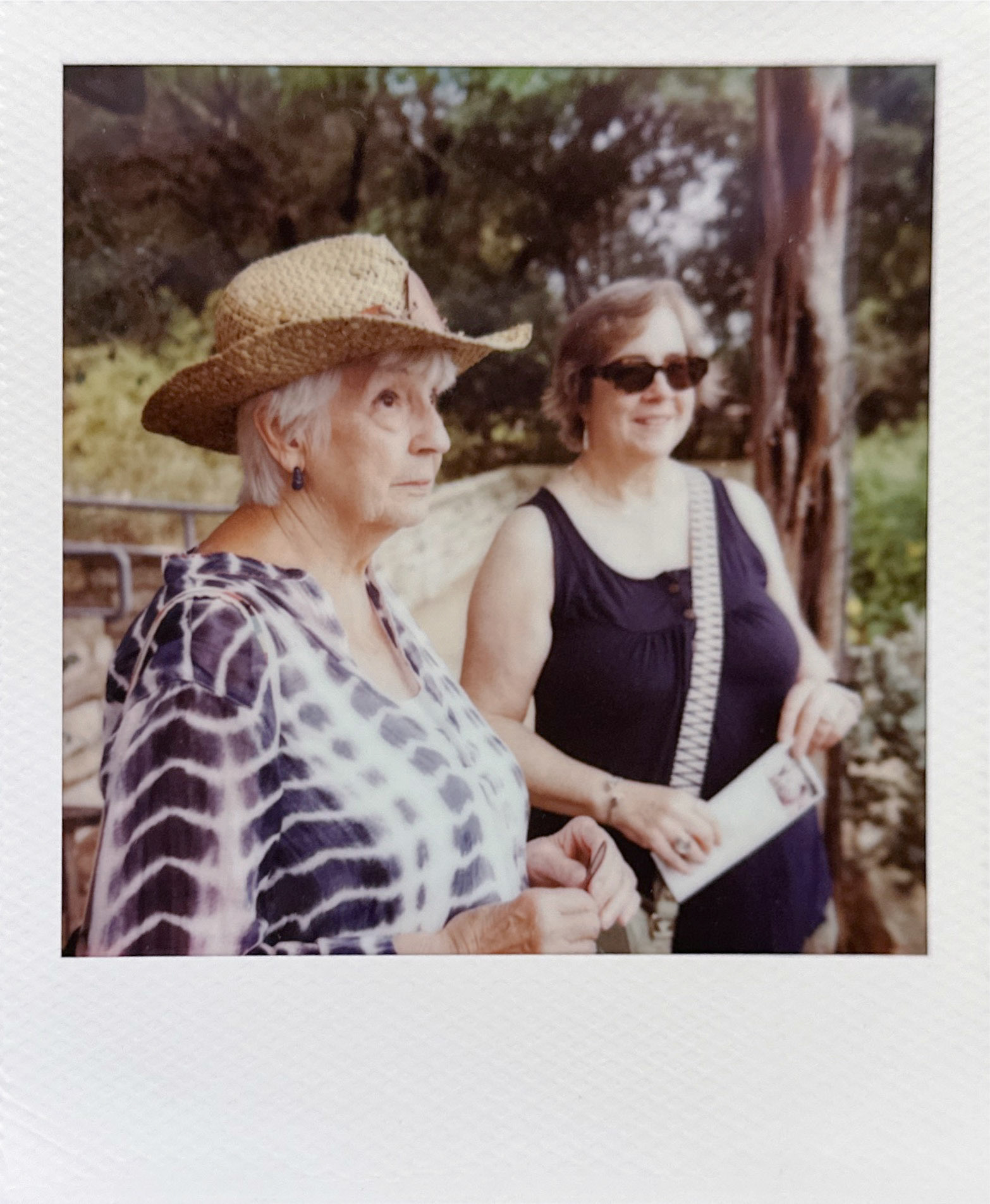 At LadyBird Polaroid