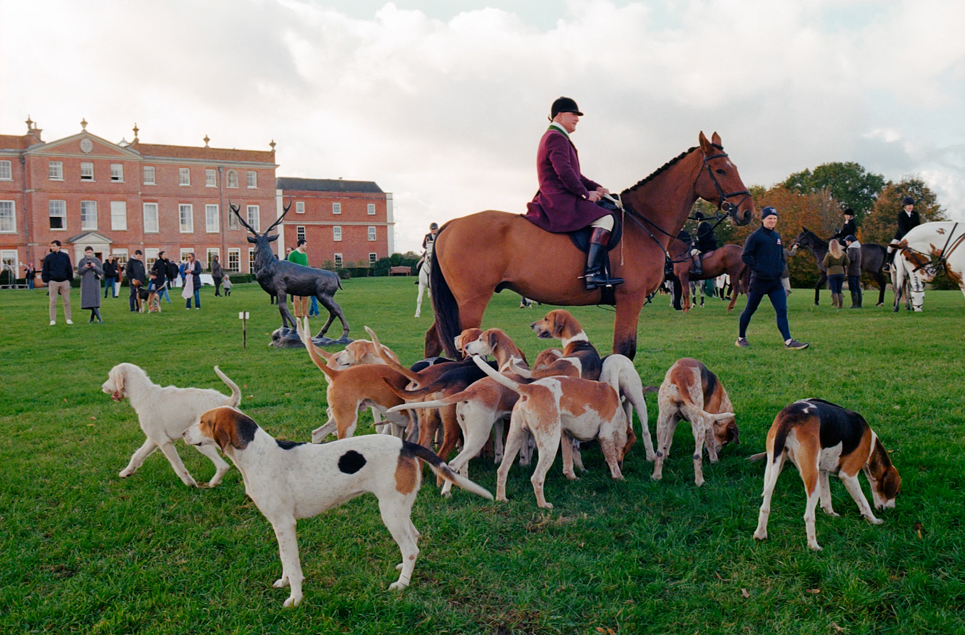 Hounds
