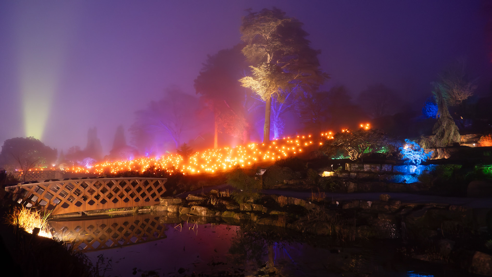 Glow at Wisley