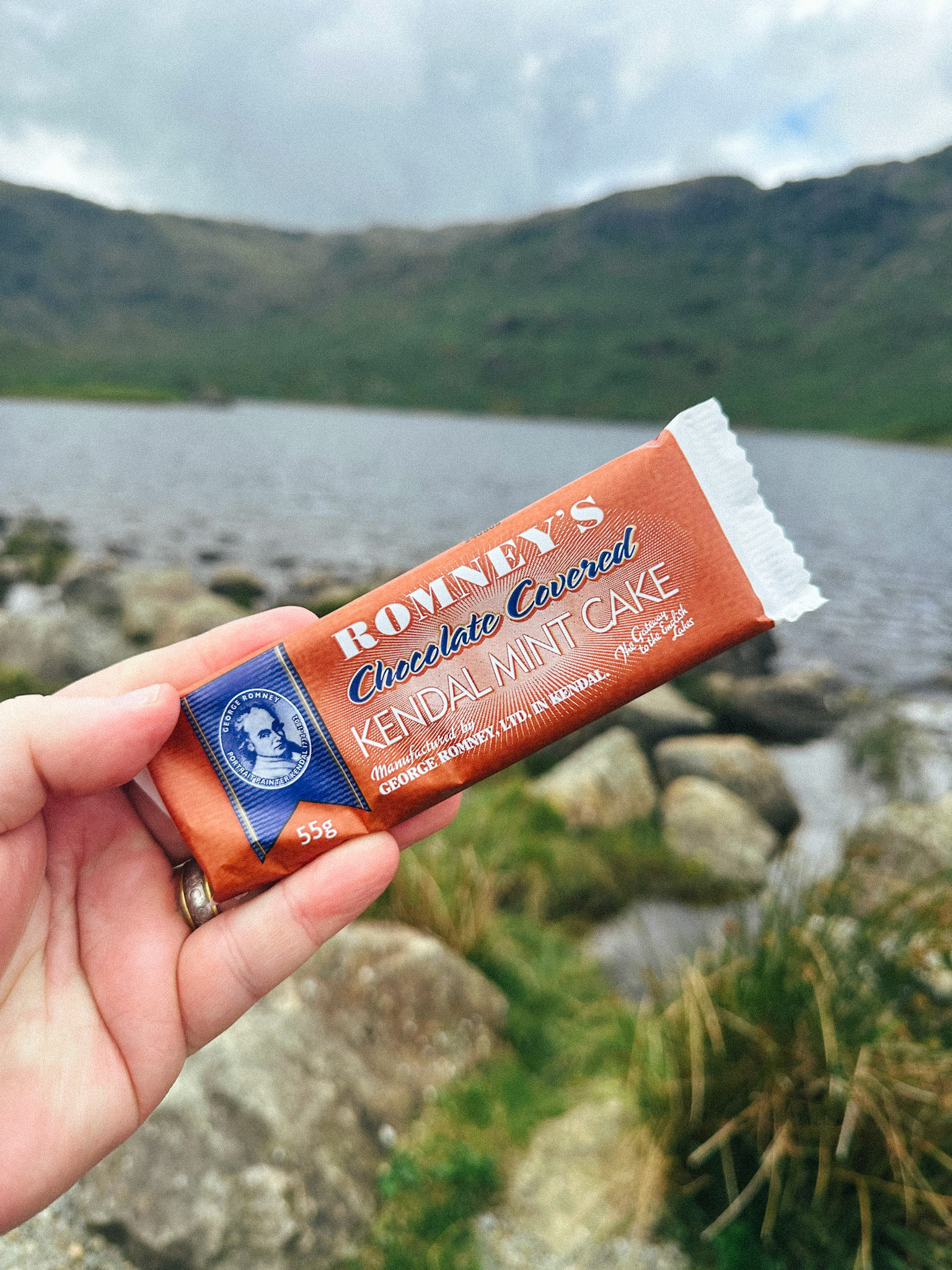 The Local Suggestion