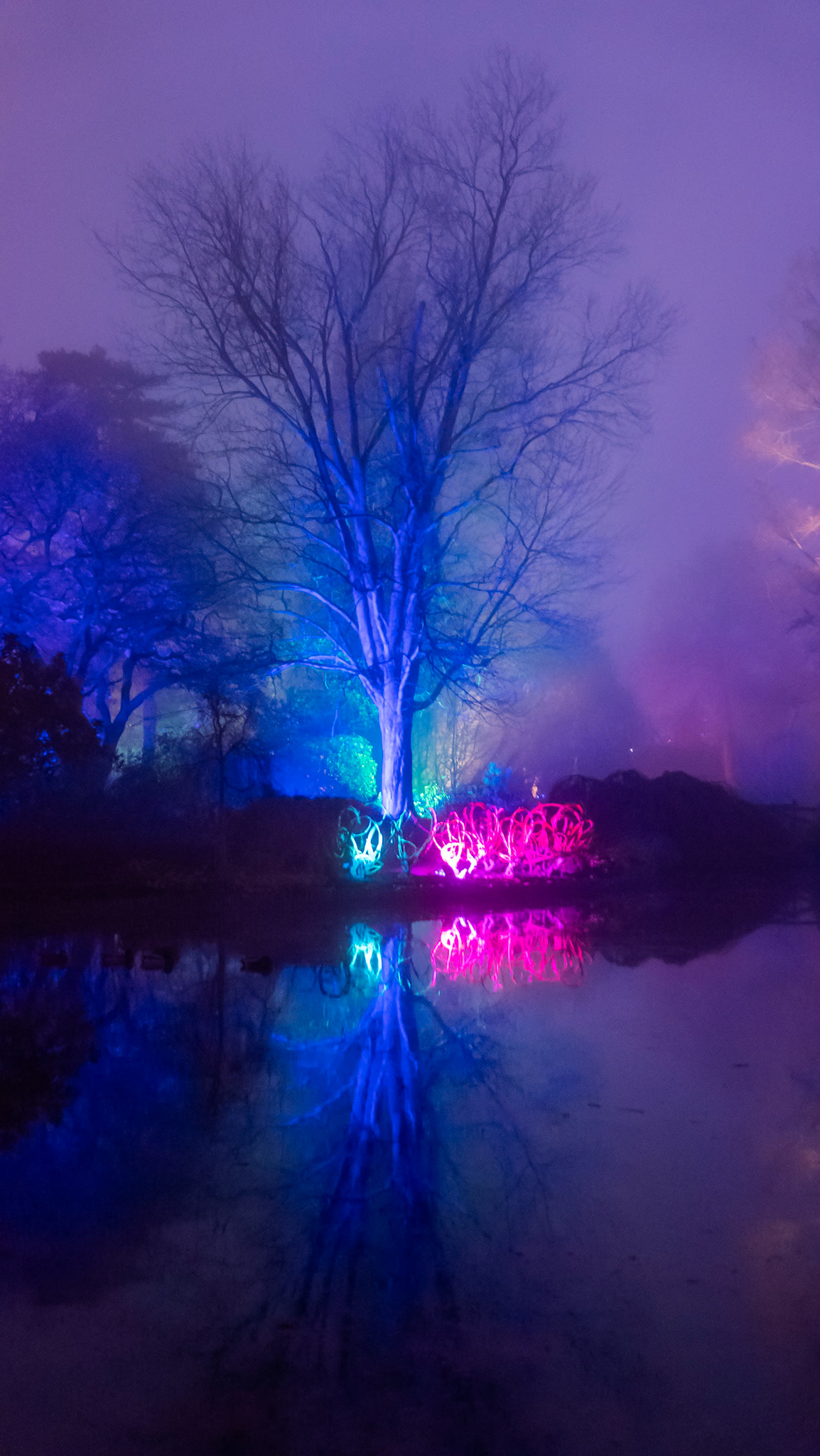 Glow at Wisley