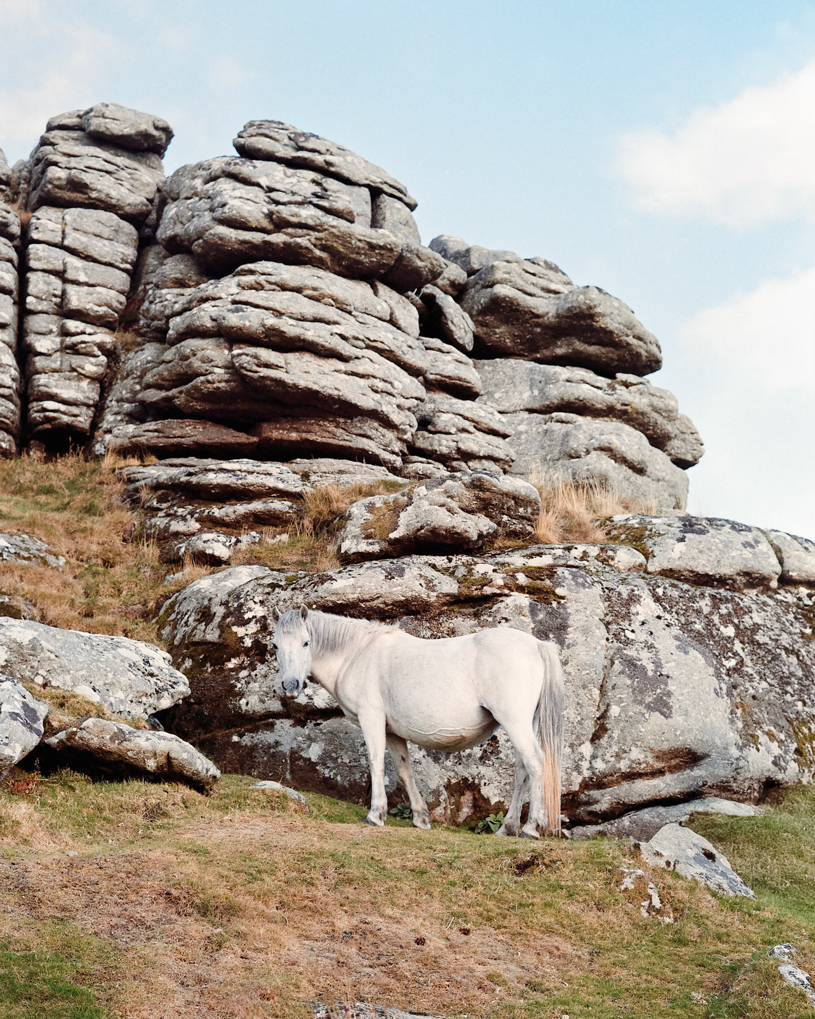 Dartmoor