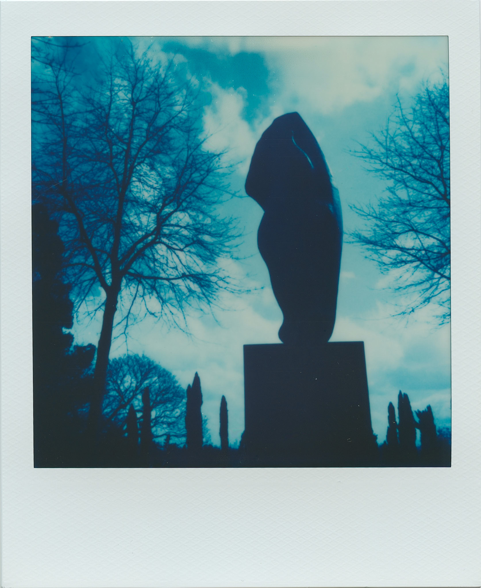 Horsehead on Reclaimed Blue Polaroid