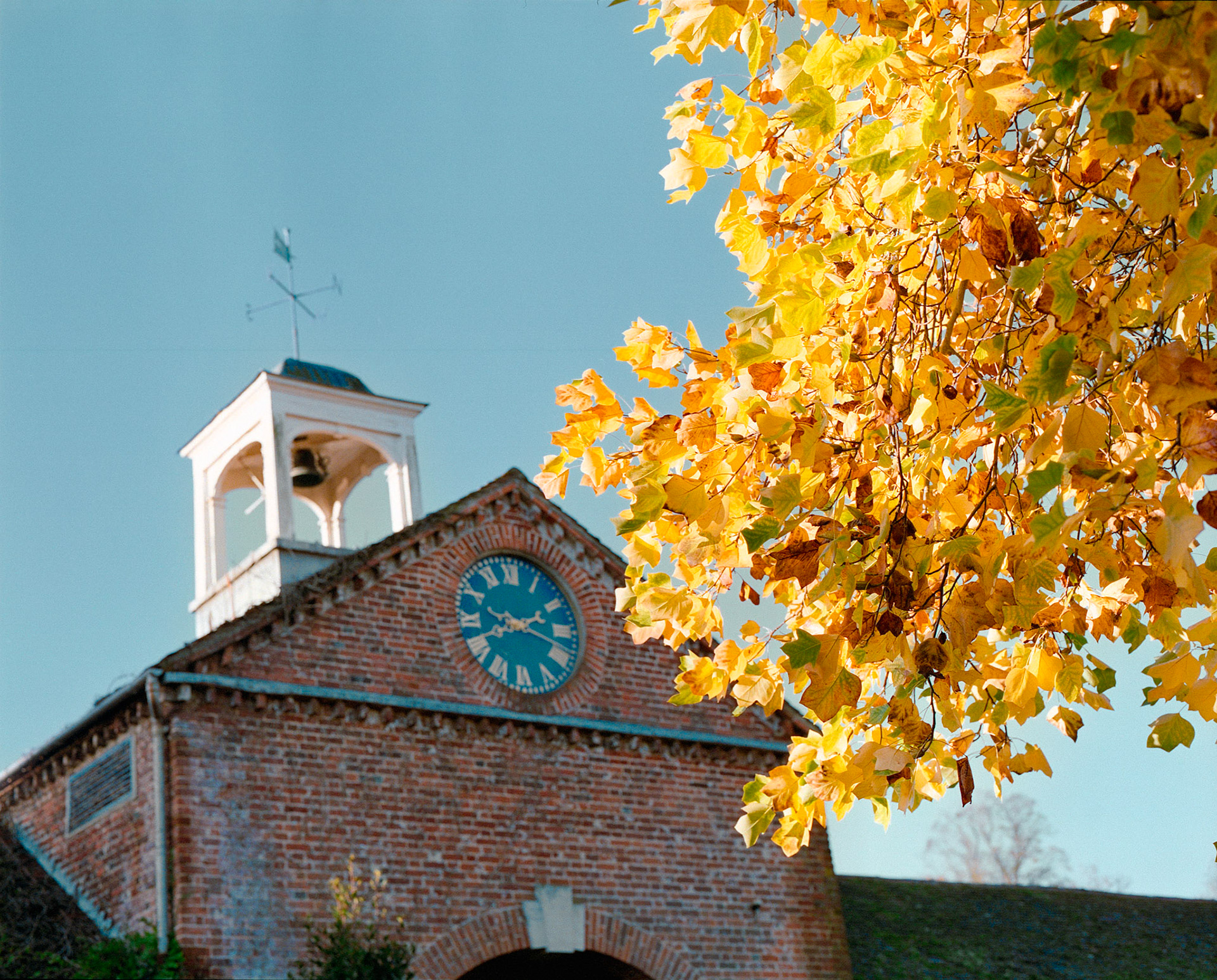 Autumn