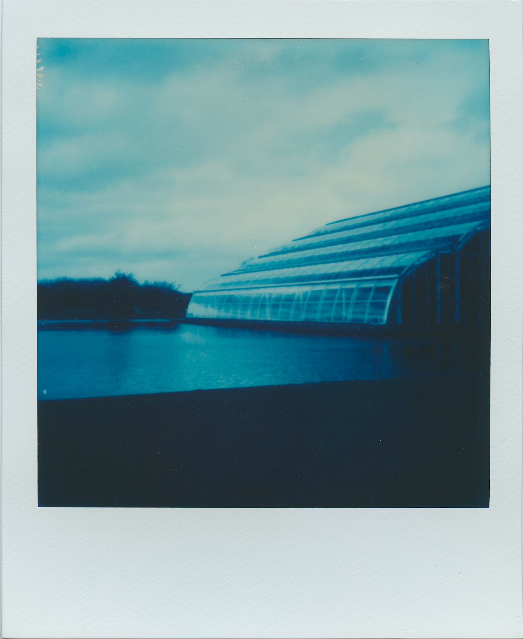 Wisley, Reclaimed Blue Polaroid