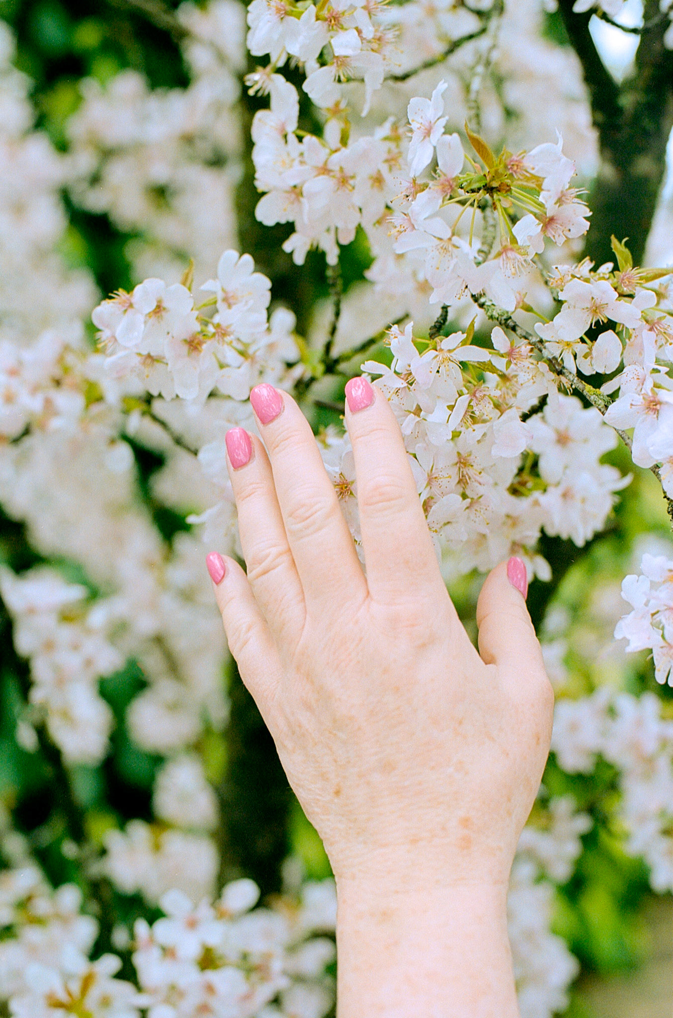 Spring