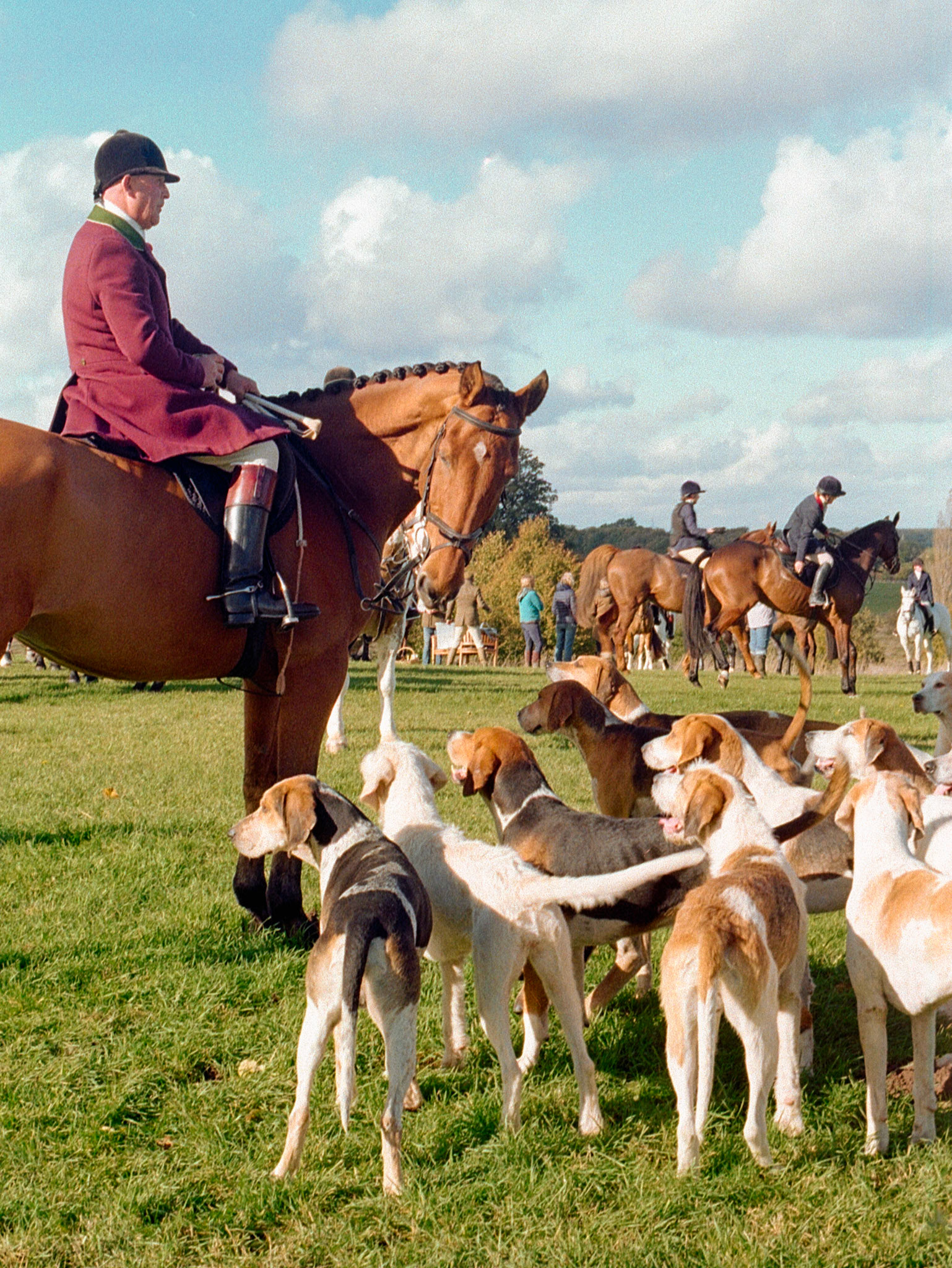 The Hounds