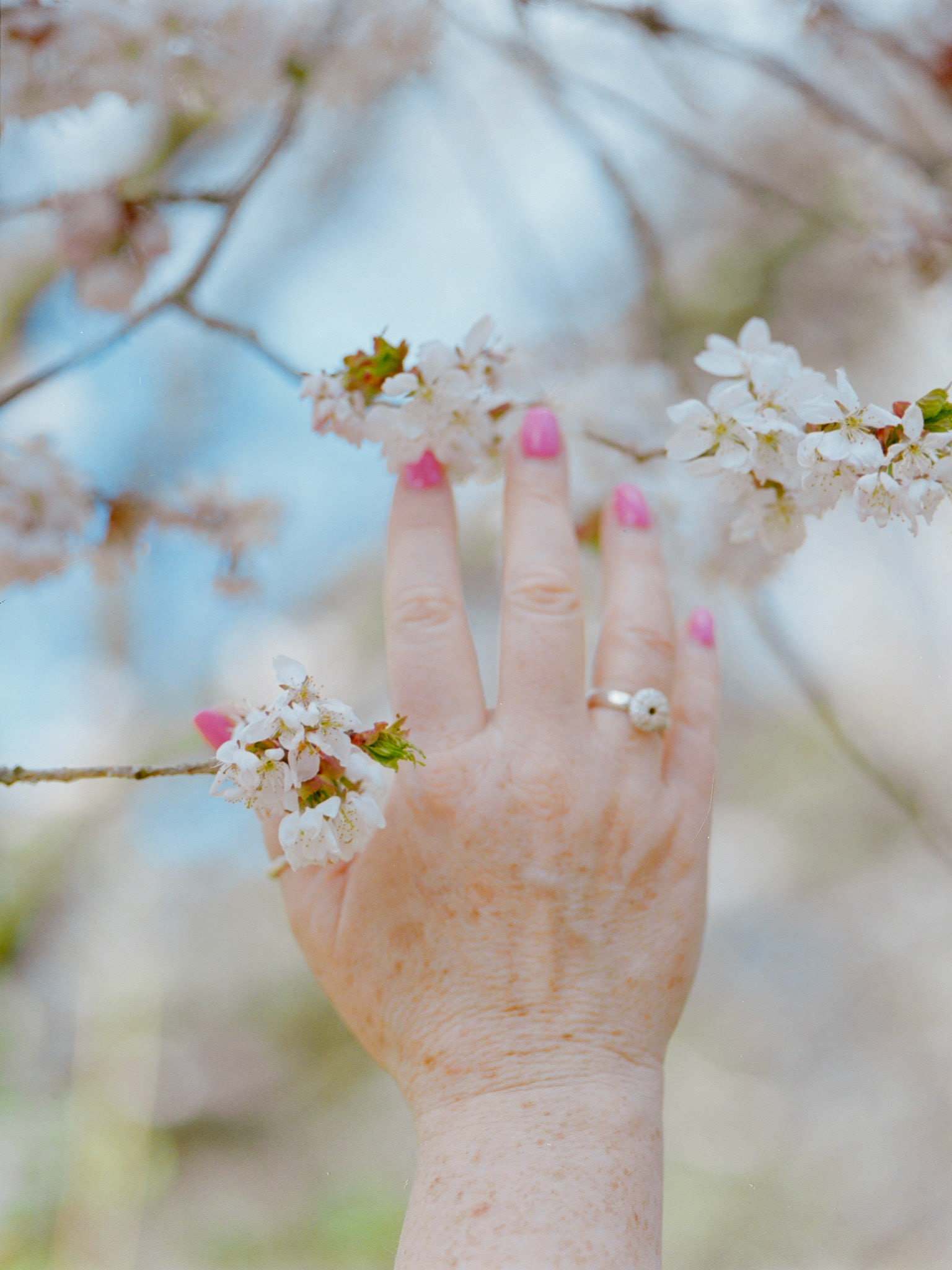 Wisley