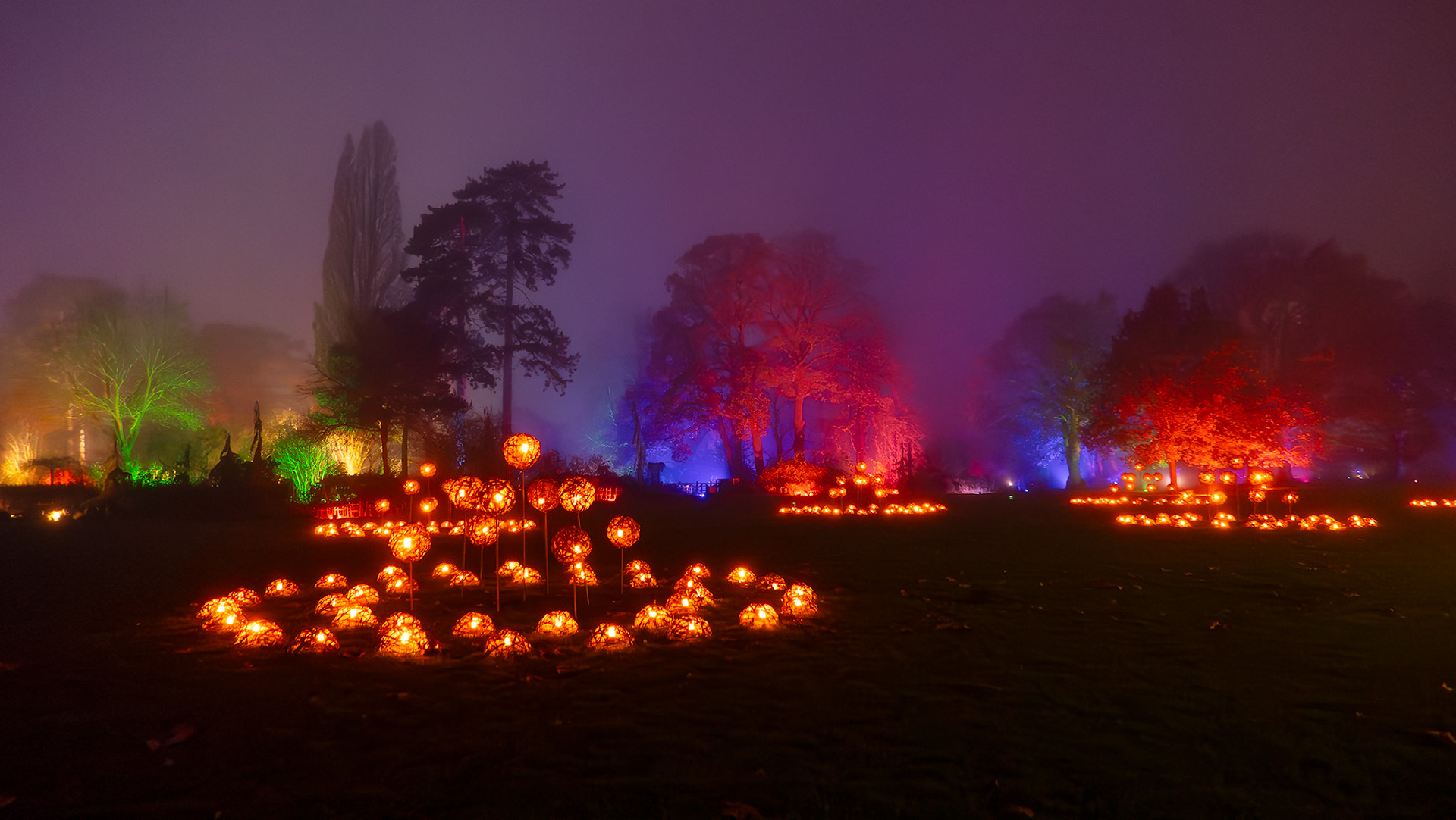 Glow at Wisley