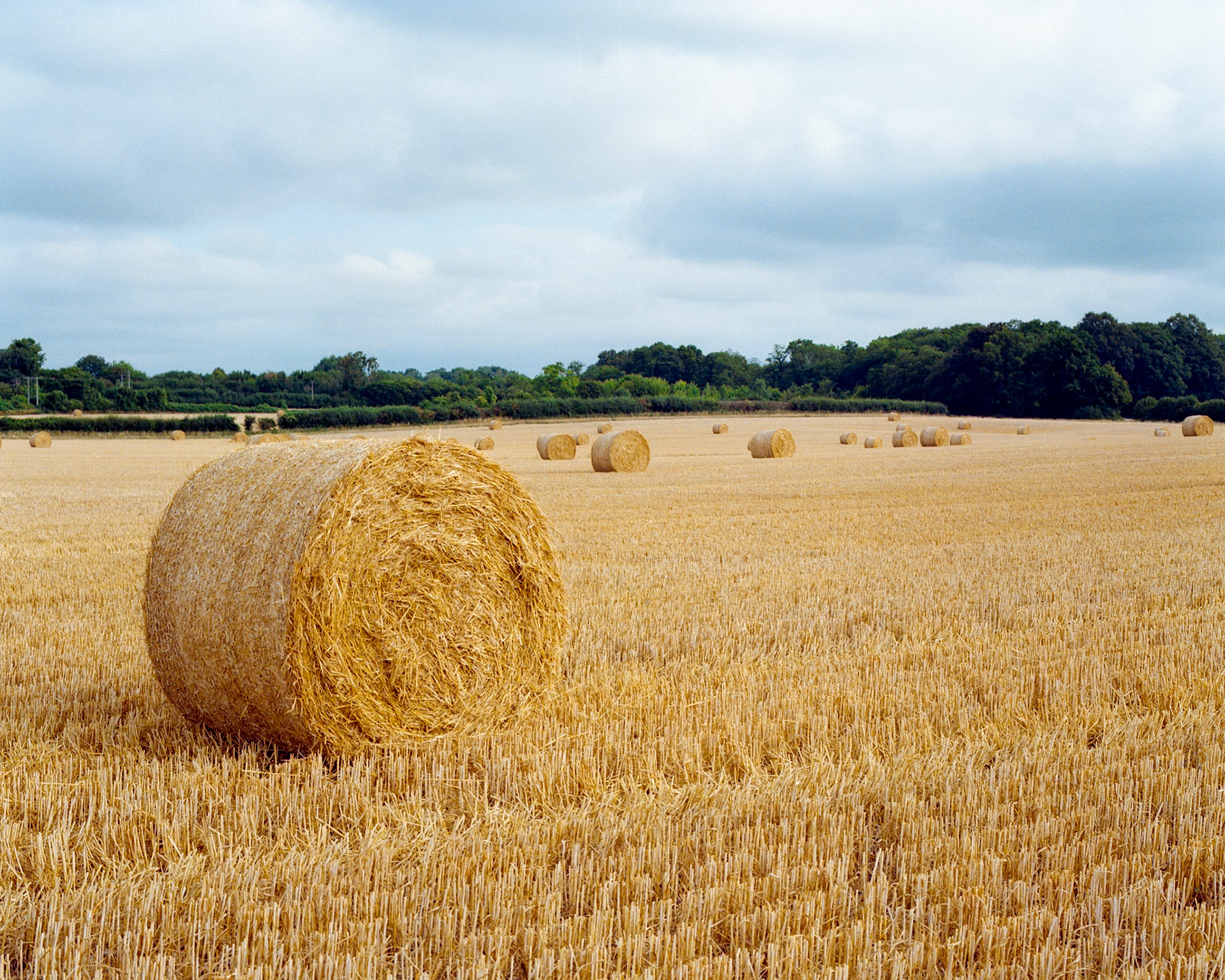 Harvest