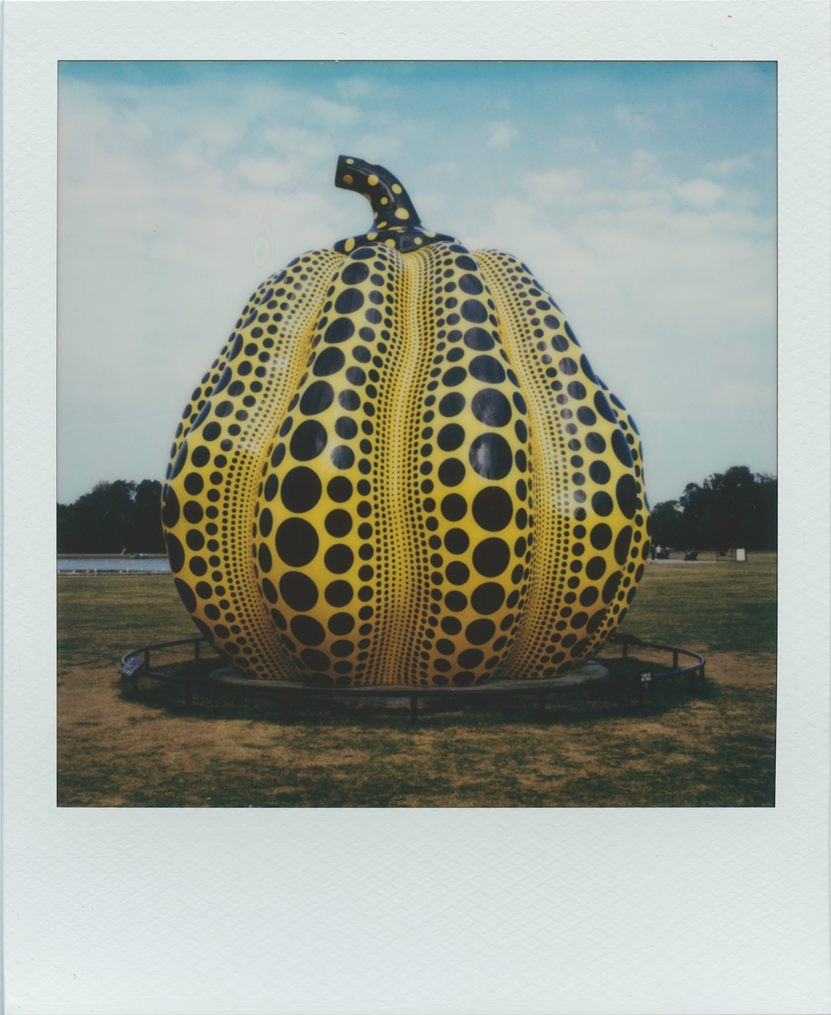 Yayoi Kusama