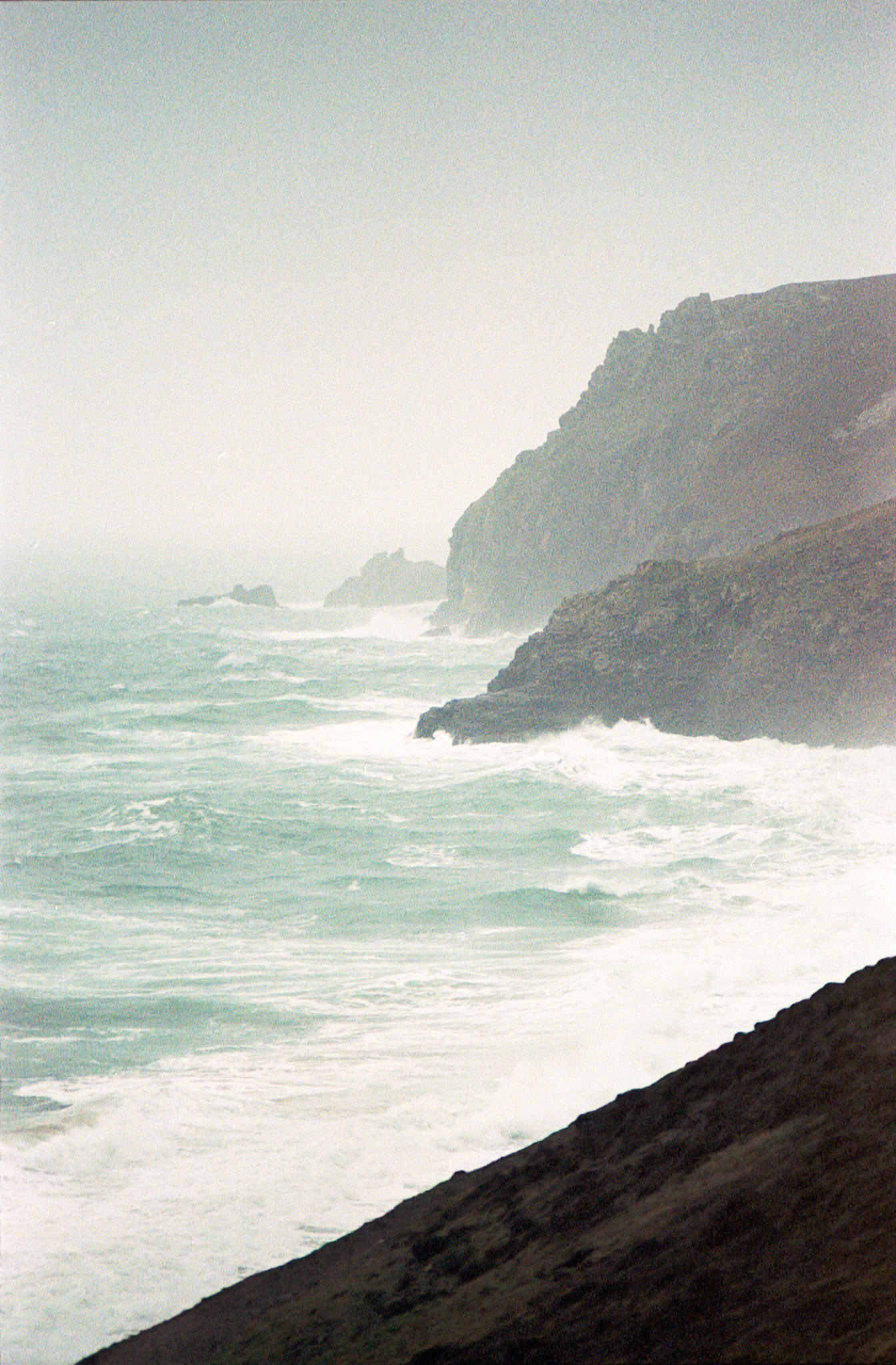 Windblown Coast