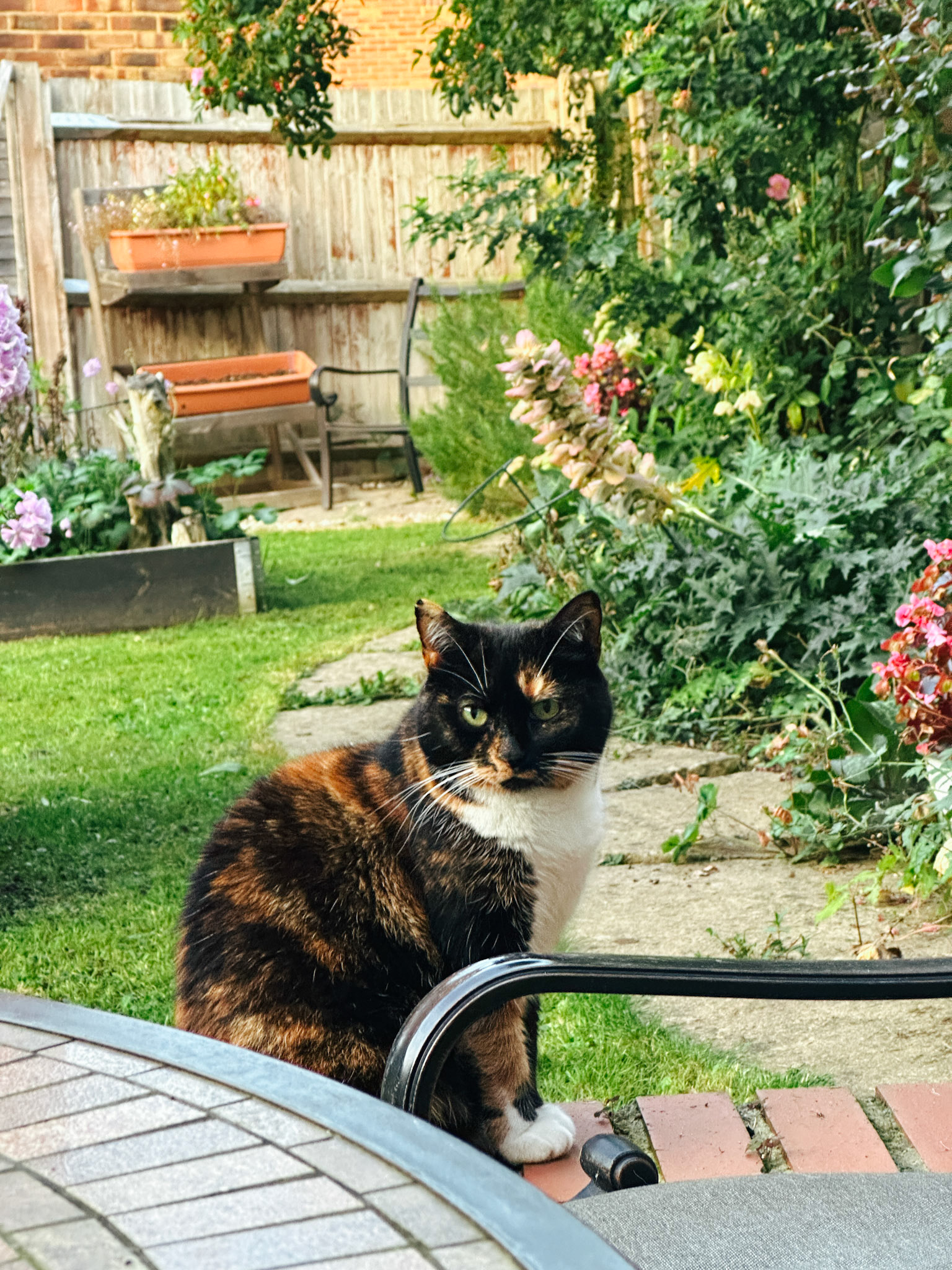 Moki