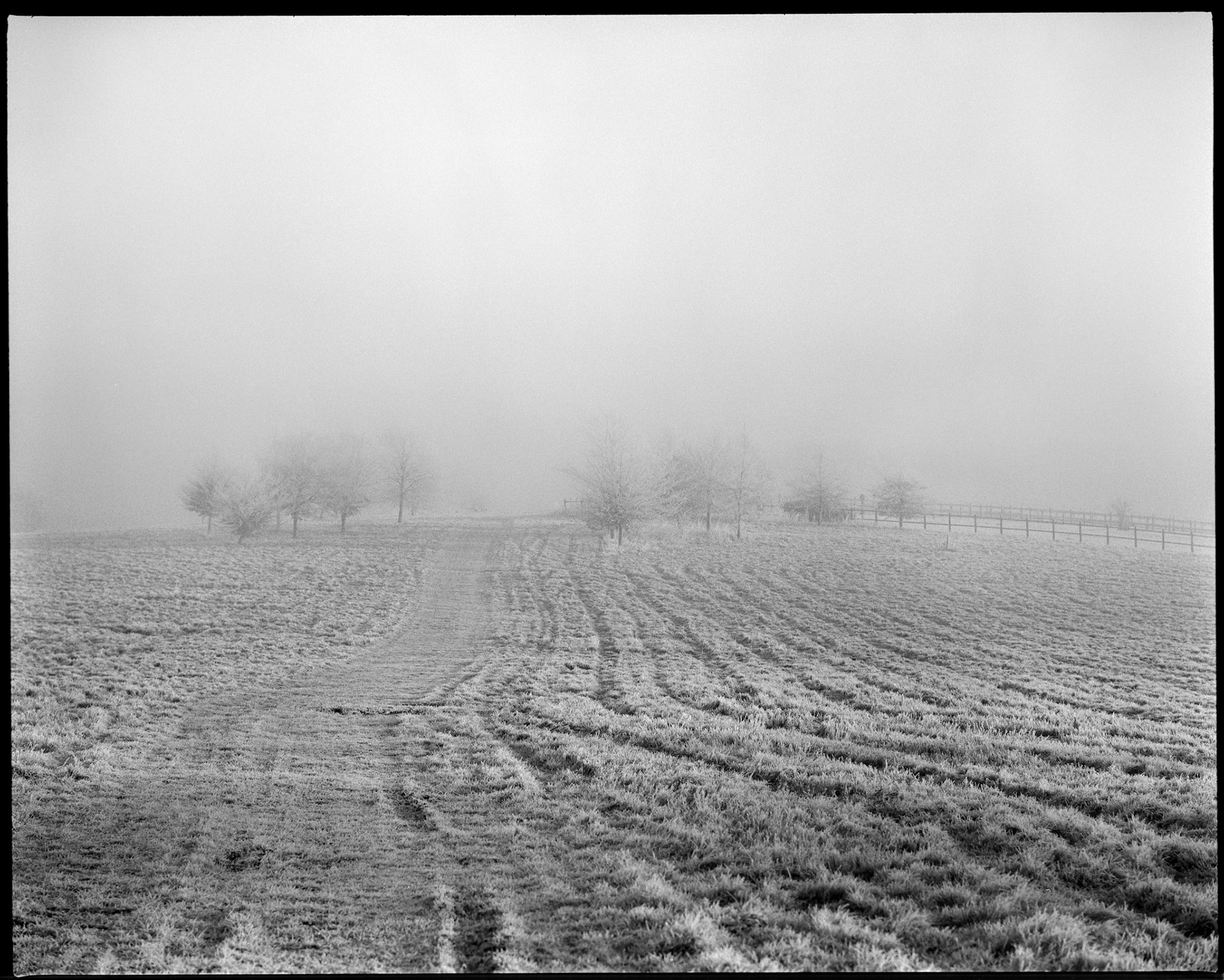 Frosty Morning on Film.